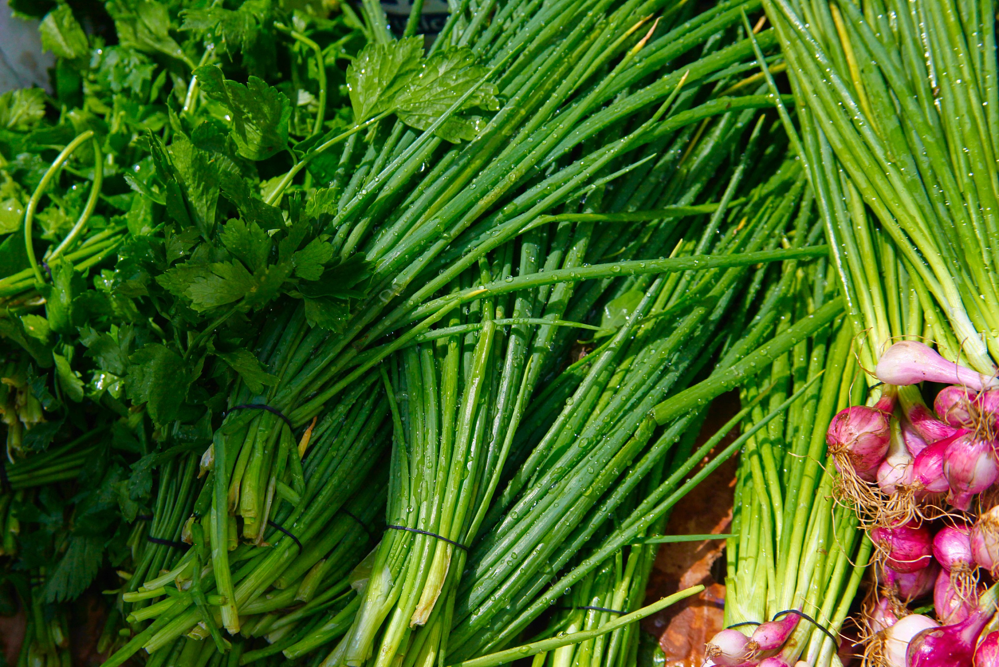 男人吃芦蒿要注意！过量食用可能带来这些健康问题