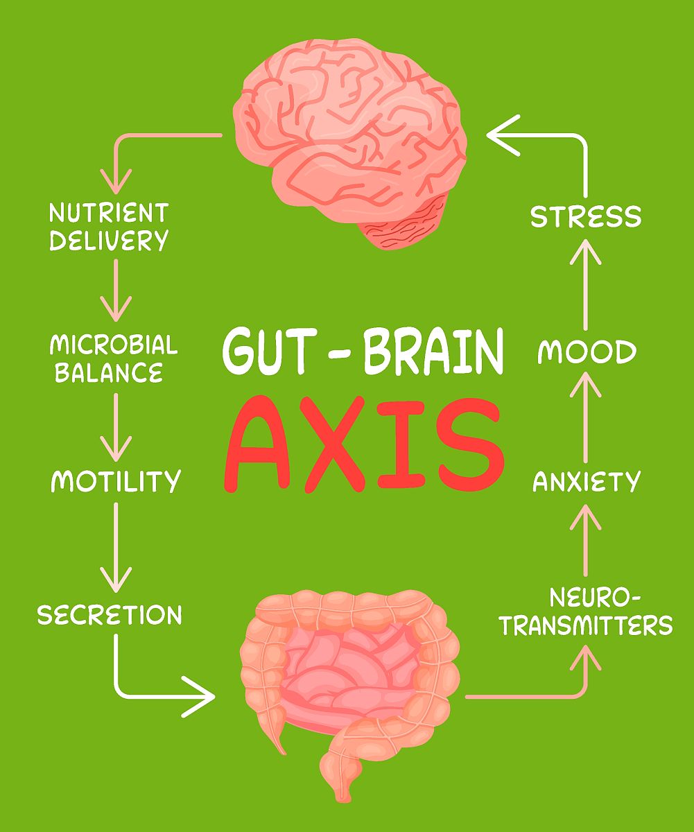 BRAIN BEHAVIOR AND IMMUNITY 期刊：神经免疫学领域权威期刊