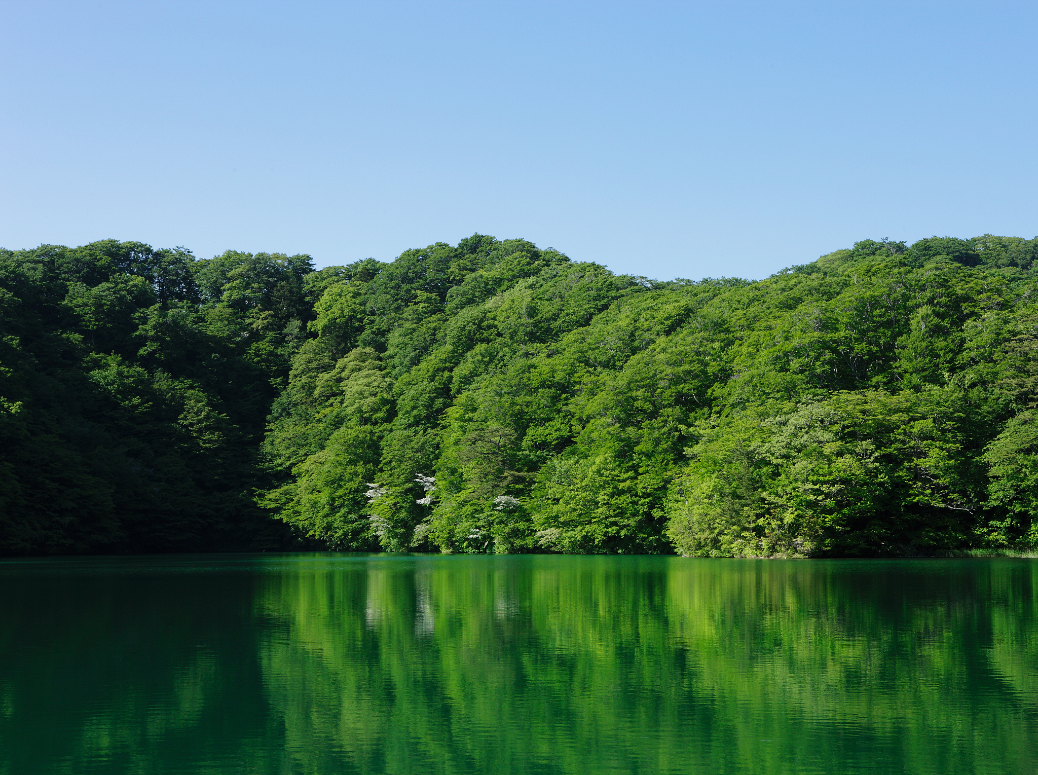 青山不老绿水长存是什么意思_词语青山不老绿水长存的意思