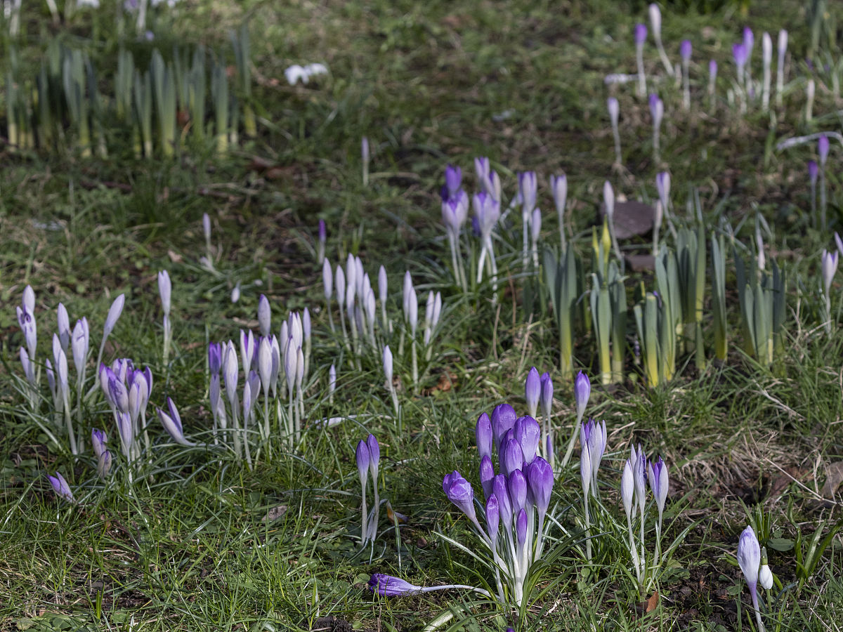 麻城工业学校2023年有哪些专业