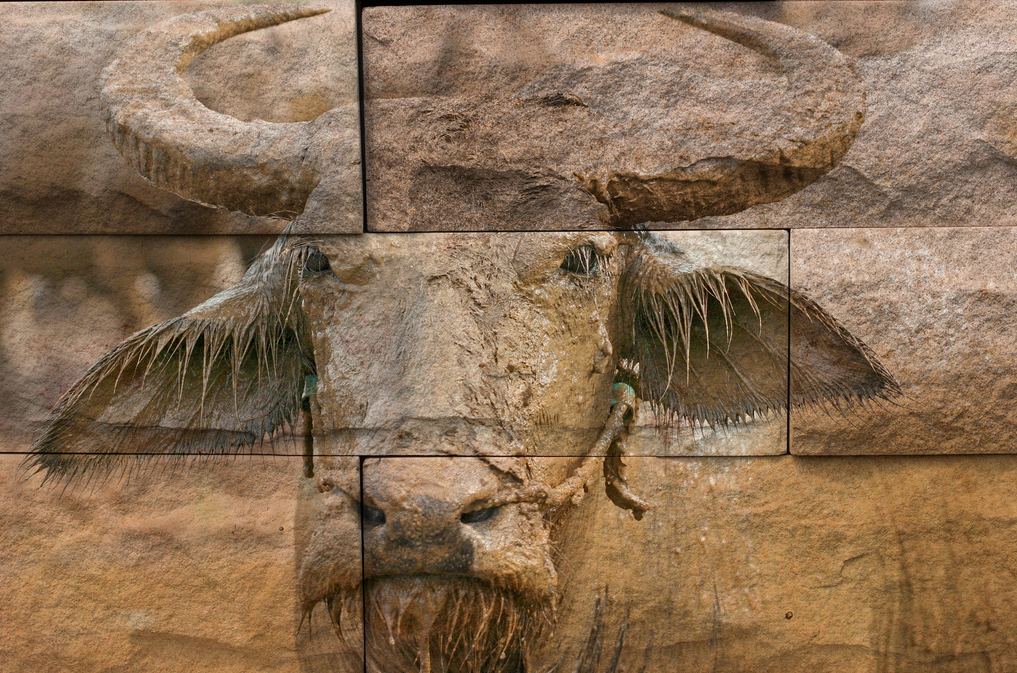 'buffalo' mural. the stone painting  concept
