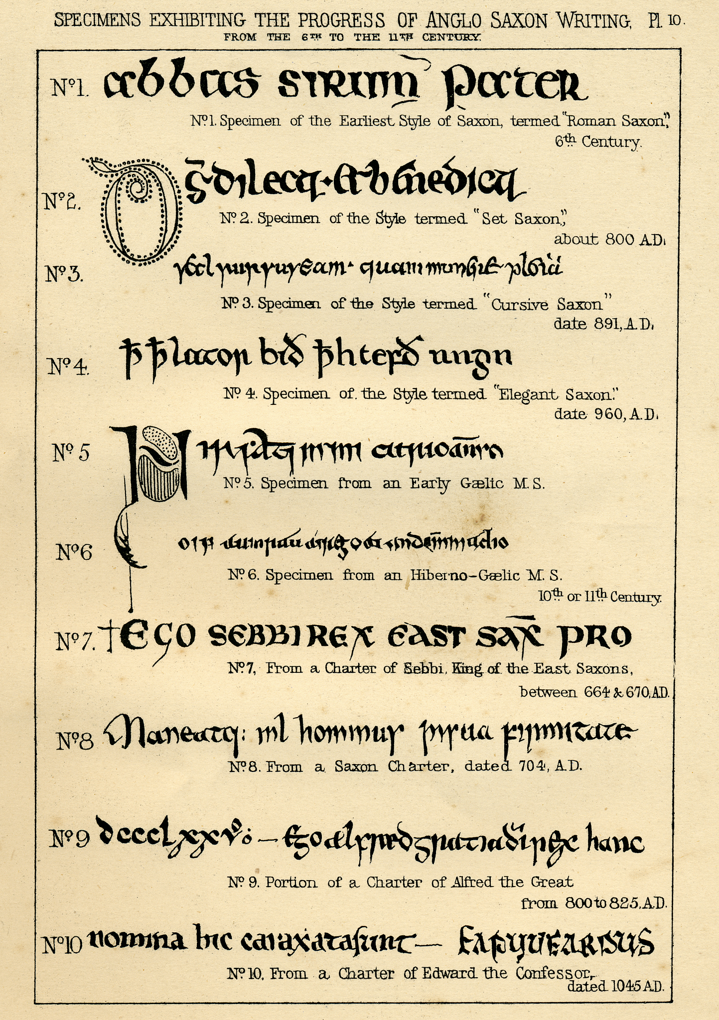 World Journal of Surgical Oncology (WJSO): 覆盖范围和研究领域