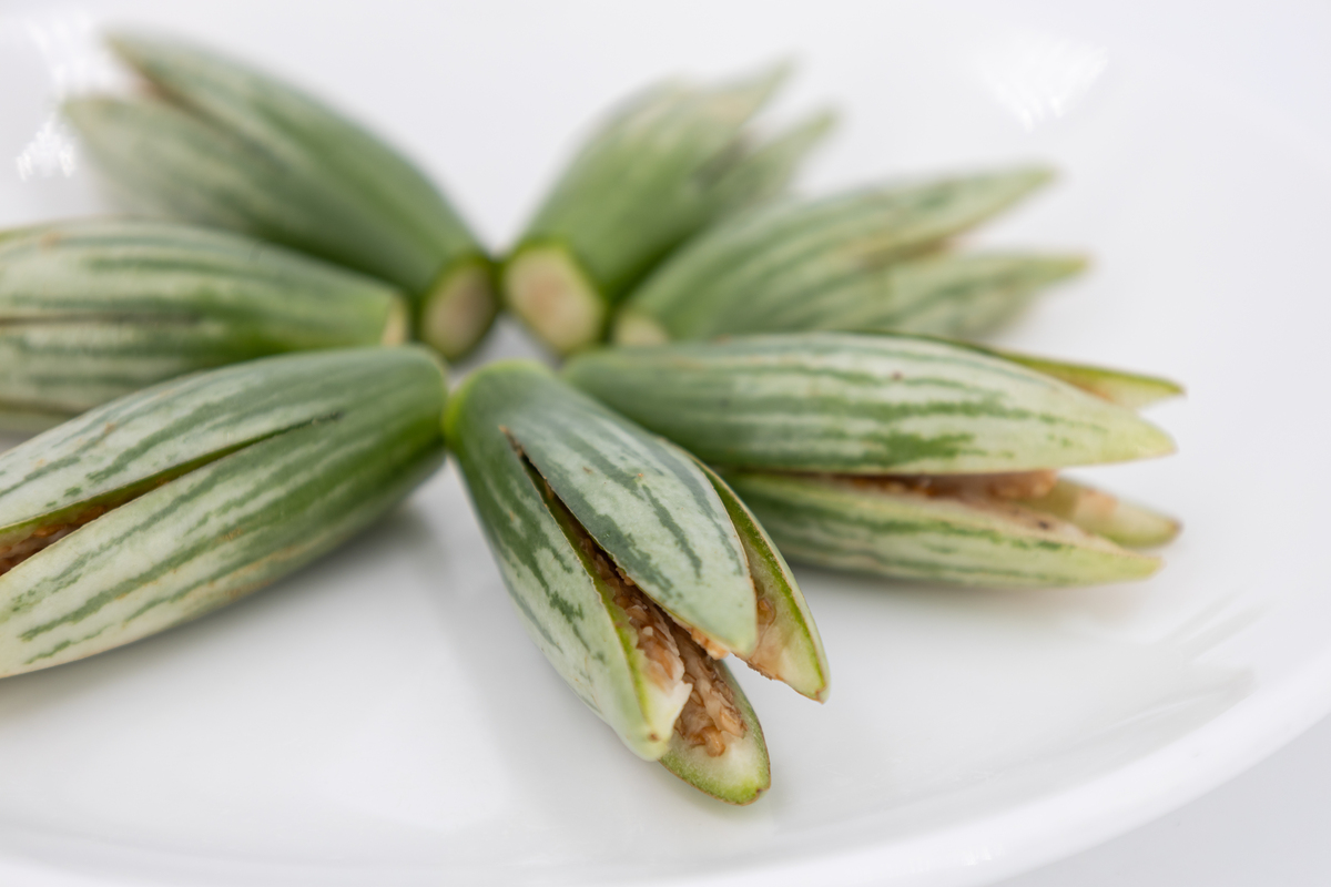紫茄子2、青茄子1、紫圆茄、大龙茄子、花茄子、长线茄、青茄子2、紫茄子1、圆茄子1、圆茄子2销量分别为13602001、3516763、7658、1167218、101379、2496413、190522、297158、4981、1047689千克将他们进行相关分布规律分析。