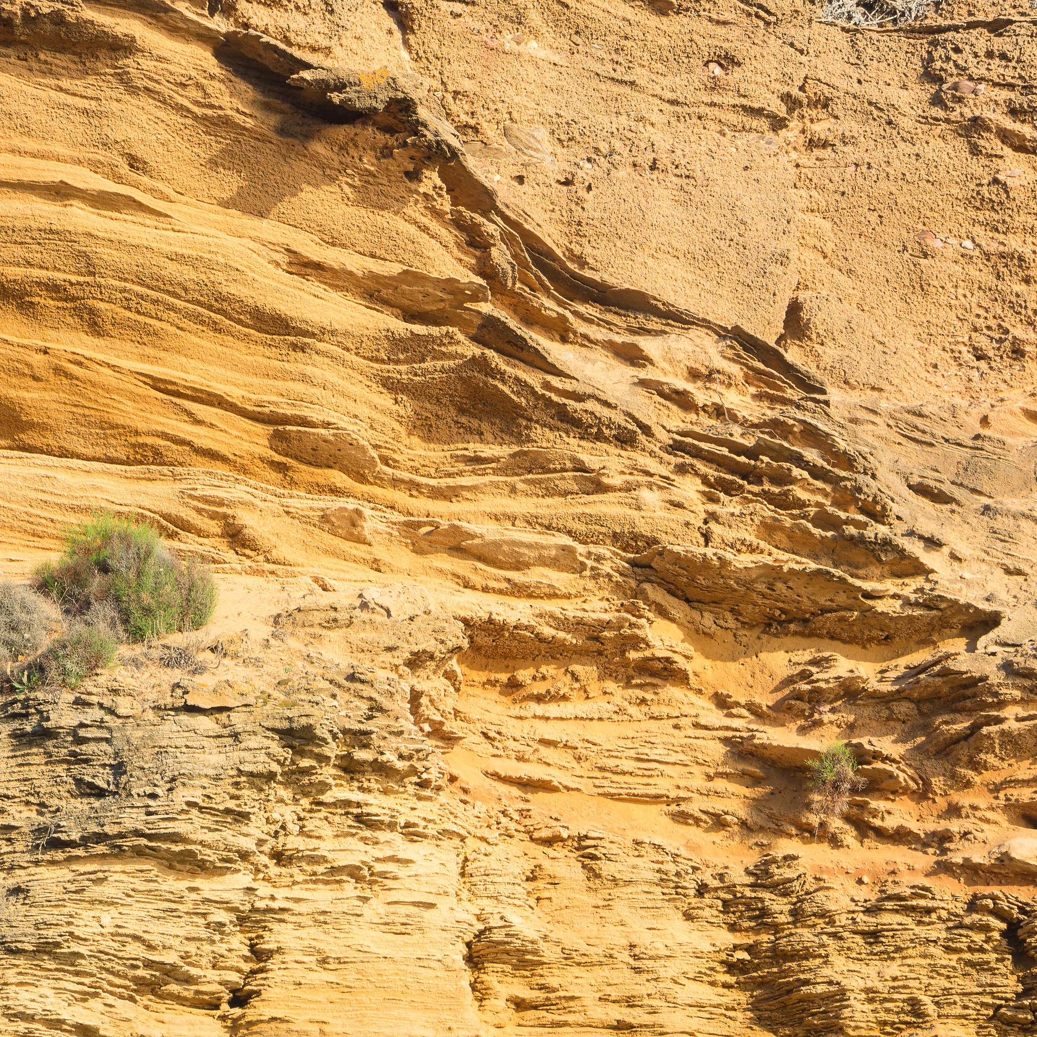 工程地质勘查专科课程有哪些？