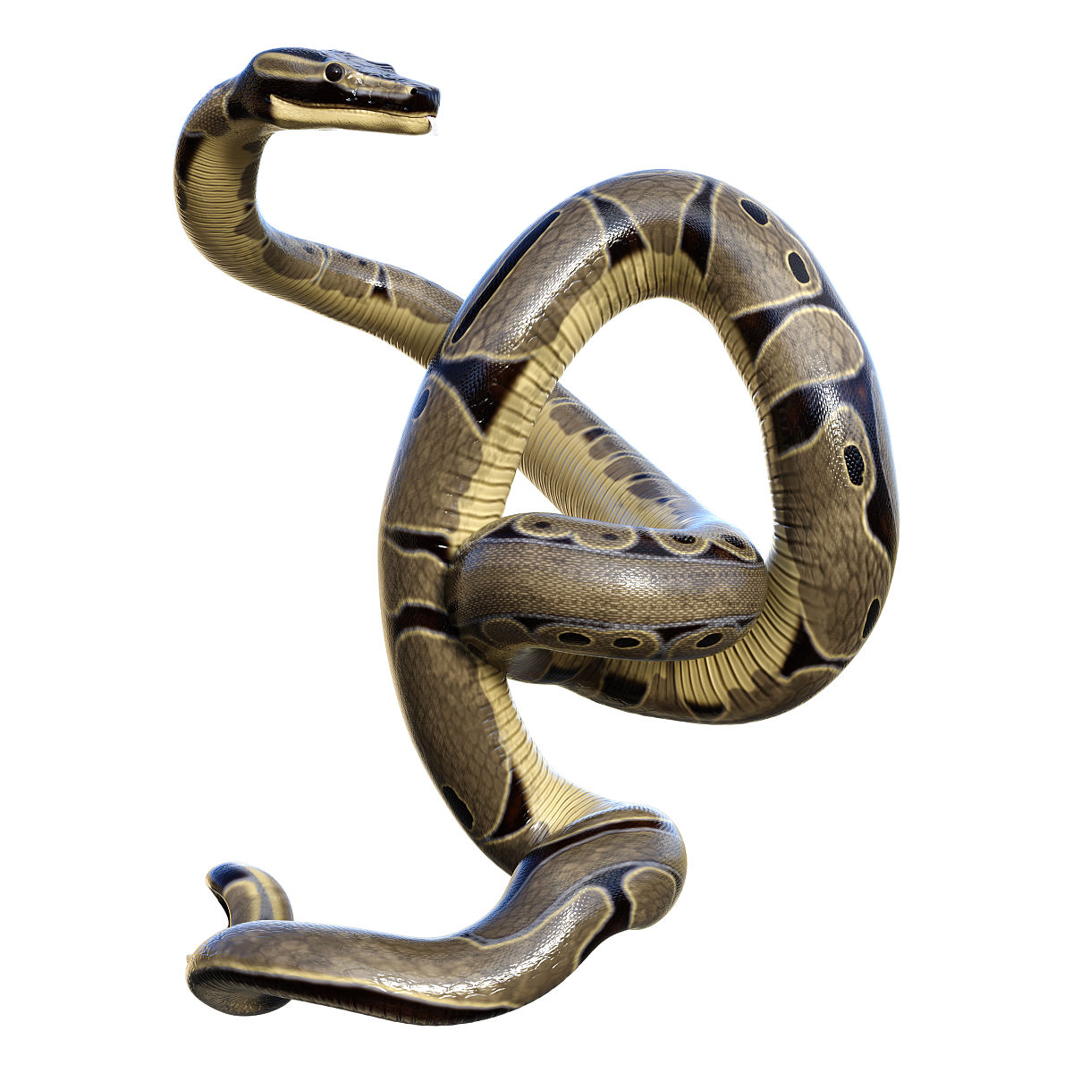 Python计算球体表面积和体积：编程练习题详解