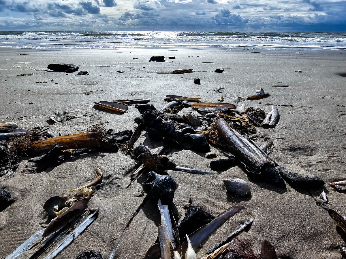 美国太平洋核试验污染和日本核污染水排海对环境影响比较