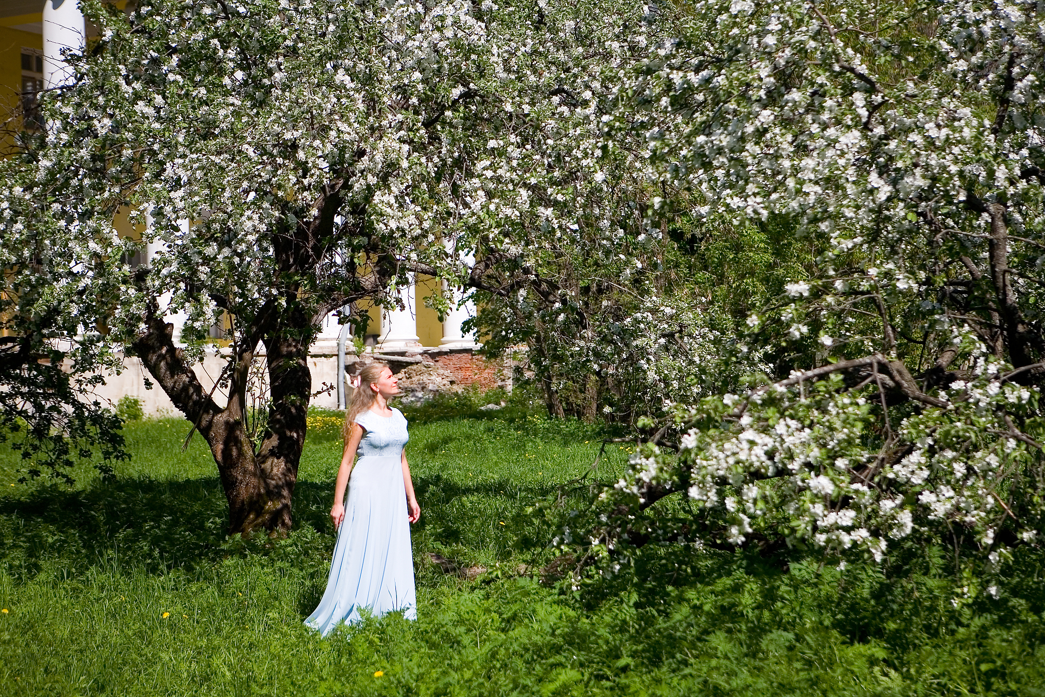 写一个将男人和女人形象的比喻的句子