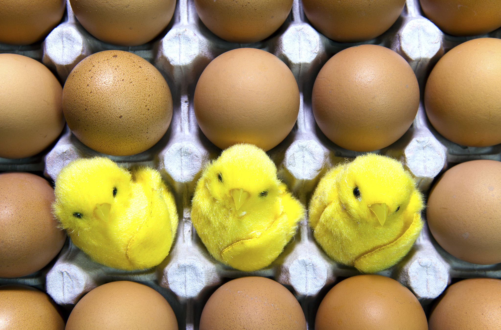 chatgptHello! How may I assist you today姬霓太美Hello! Im an AI language model and Im here to assist you with any questions or tasks you may have How can I help you today鸡你太美是什么梗