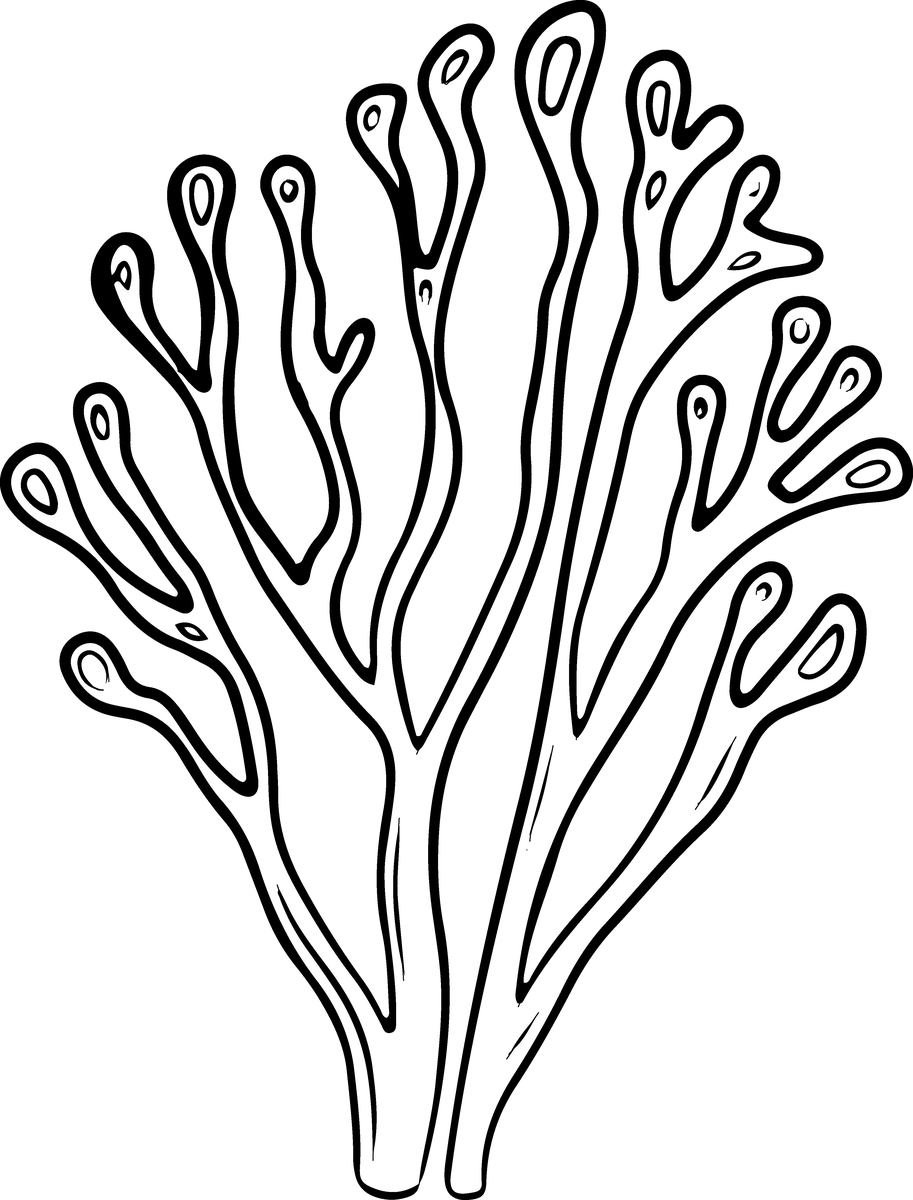 手绘珊瑚涂鸦海洋插画