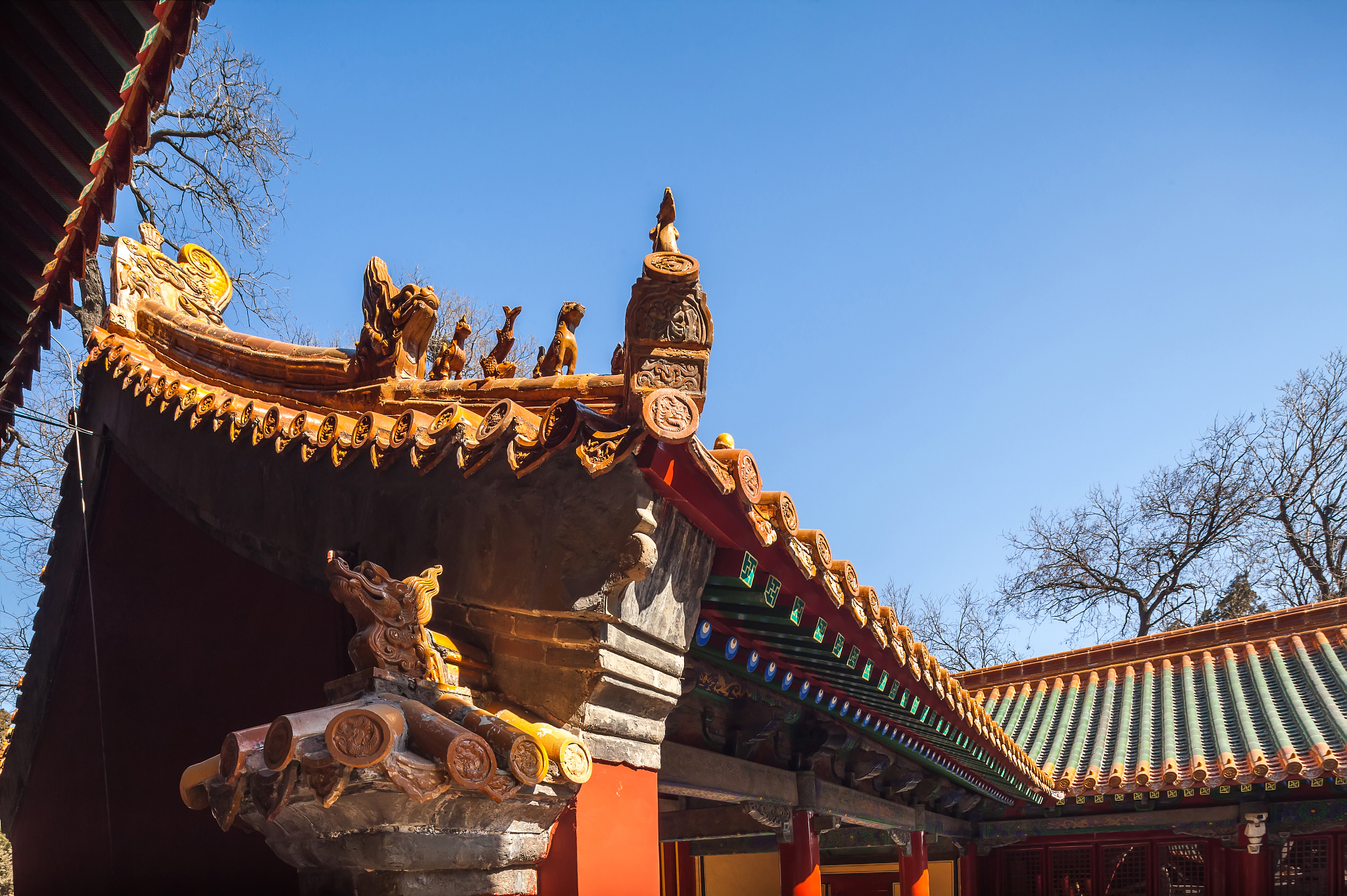 山东旅游职业学院韩语专业就业前景分析