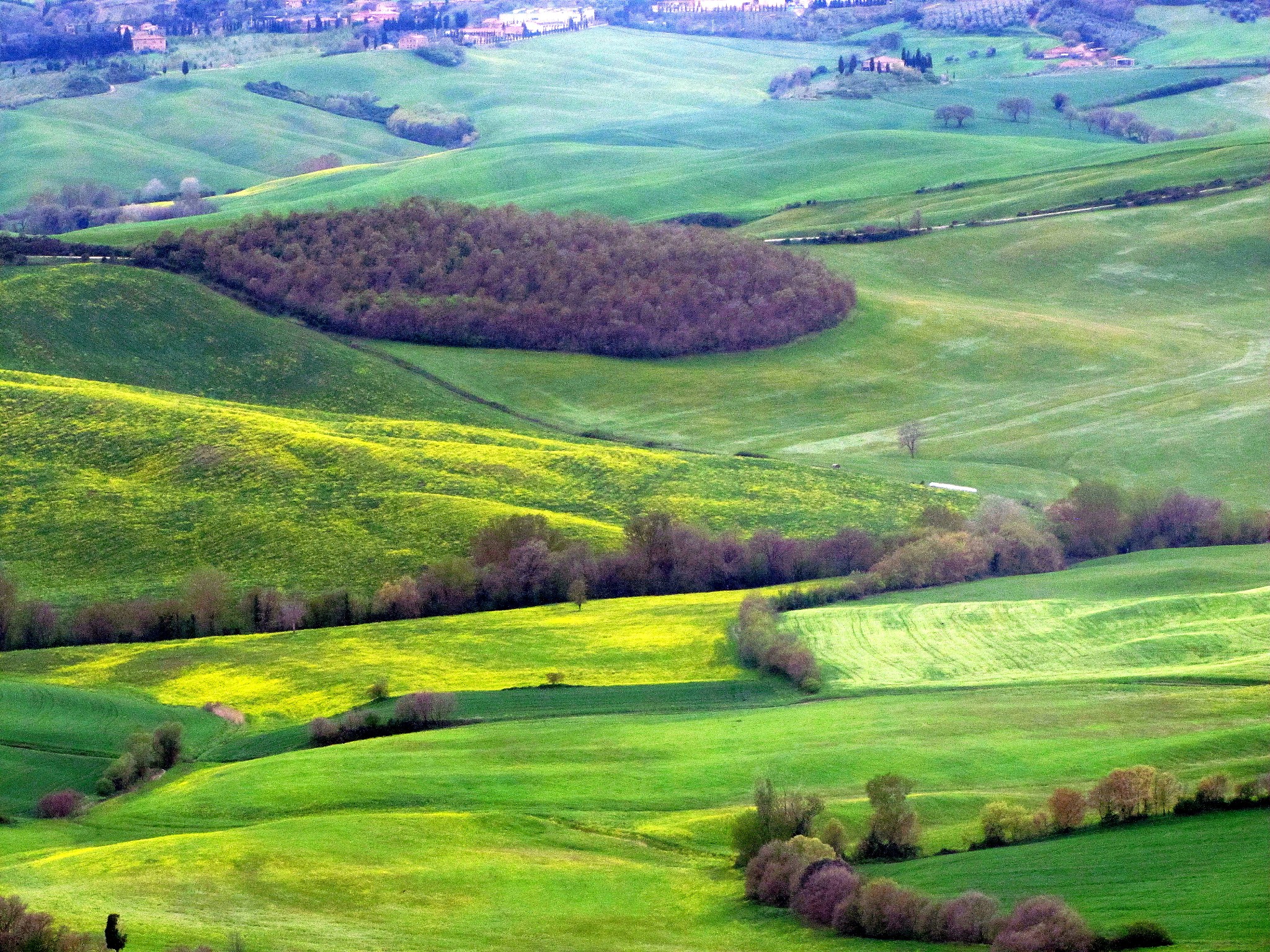 view on the delicate colors of the tuscan countryside, tuscany, 