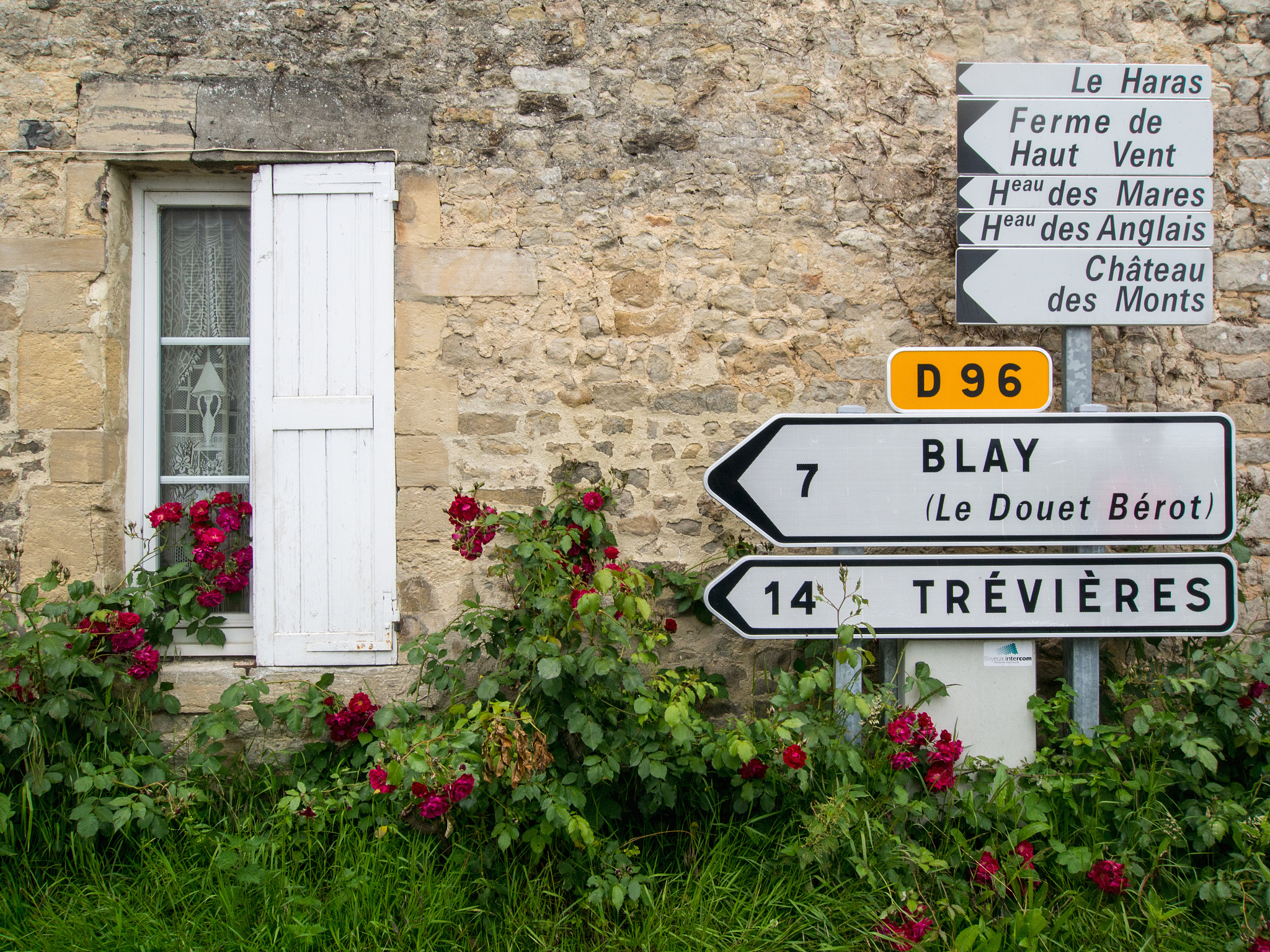 The House on Mango Street: Through Rachel's Eyes - A Tale of Courage and Change