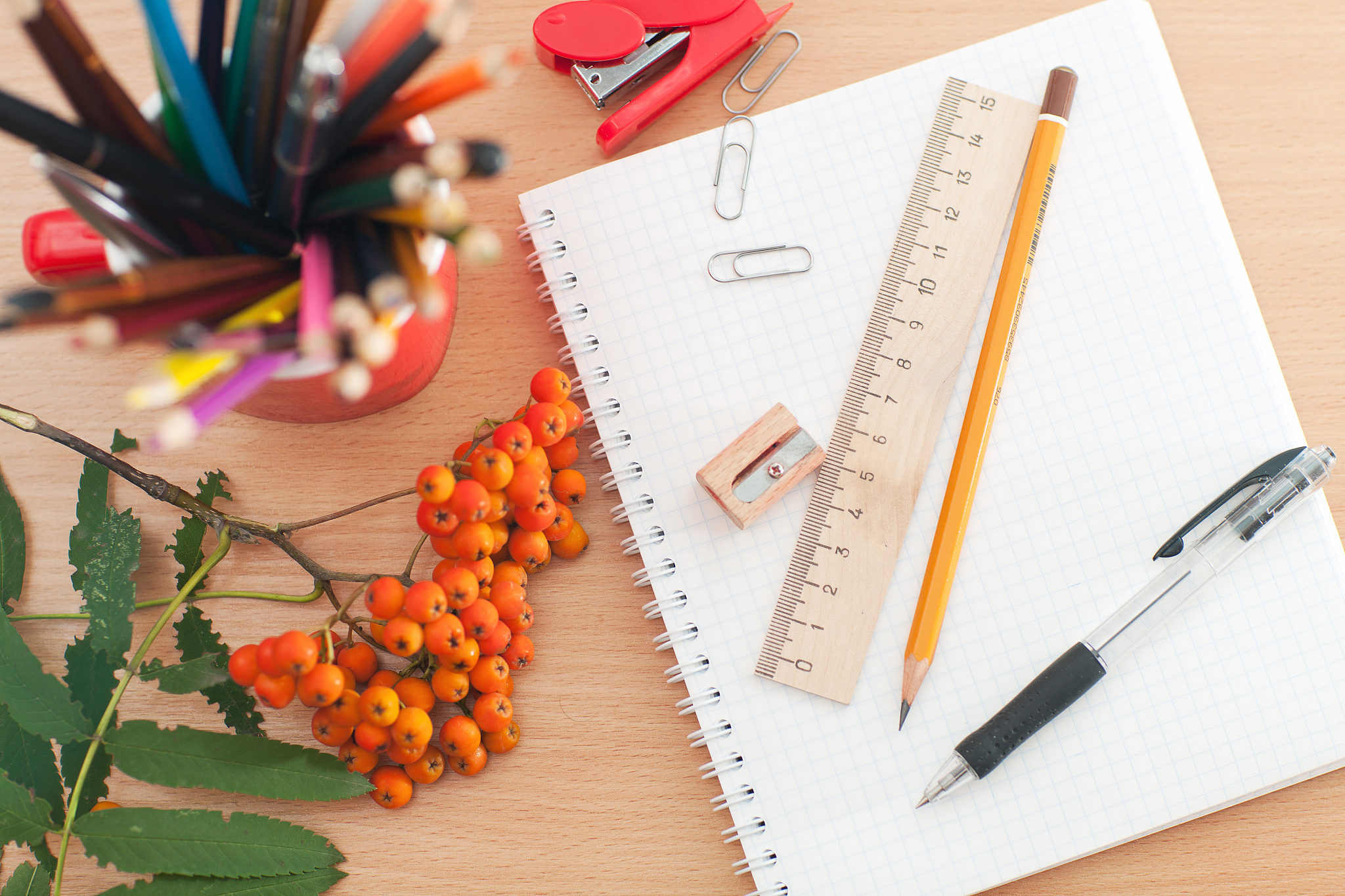 大连商业学校哪些专业是重点？