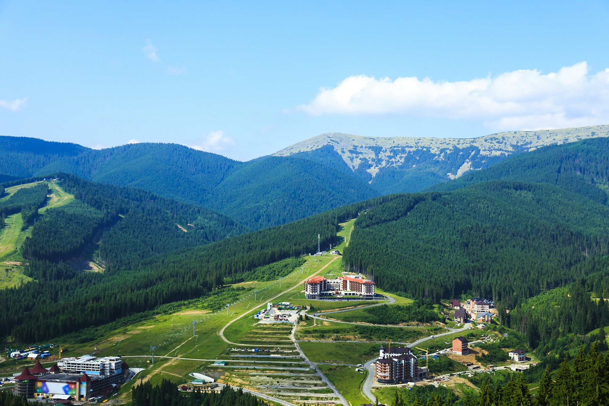 10条回复：完达山一号再现穆棱林区