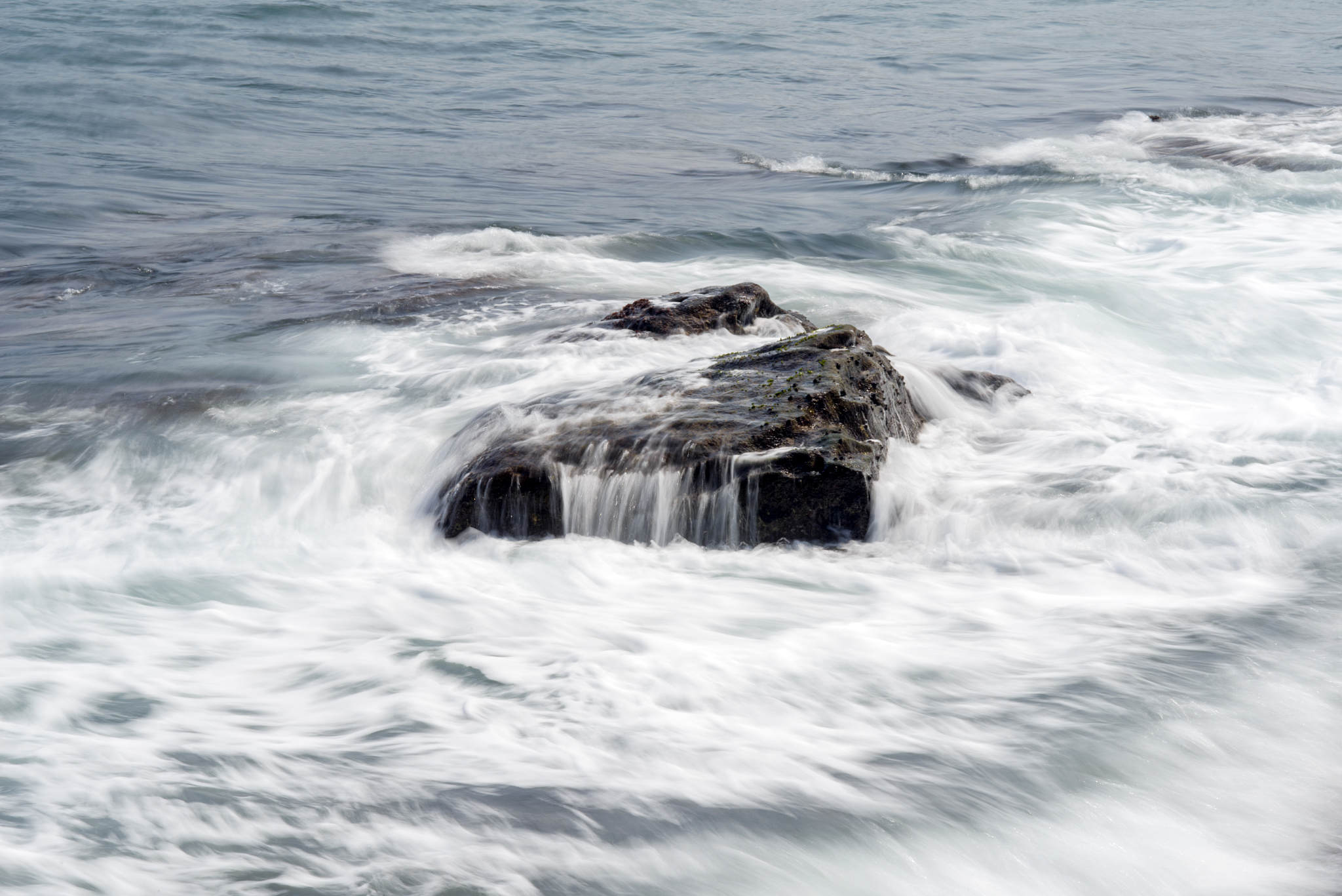 2022年江苏航运职业技术学院招生简章