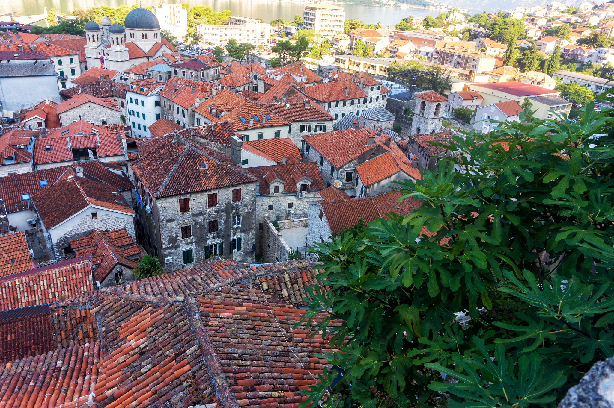 tile roofs of old town of kotor, montenegro. view from above
