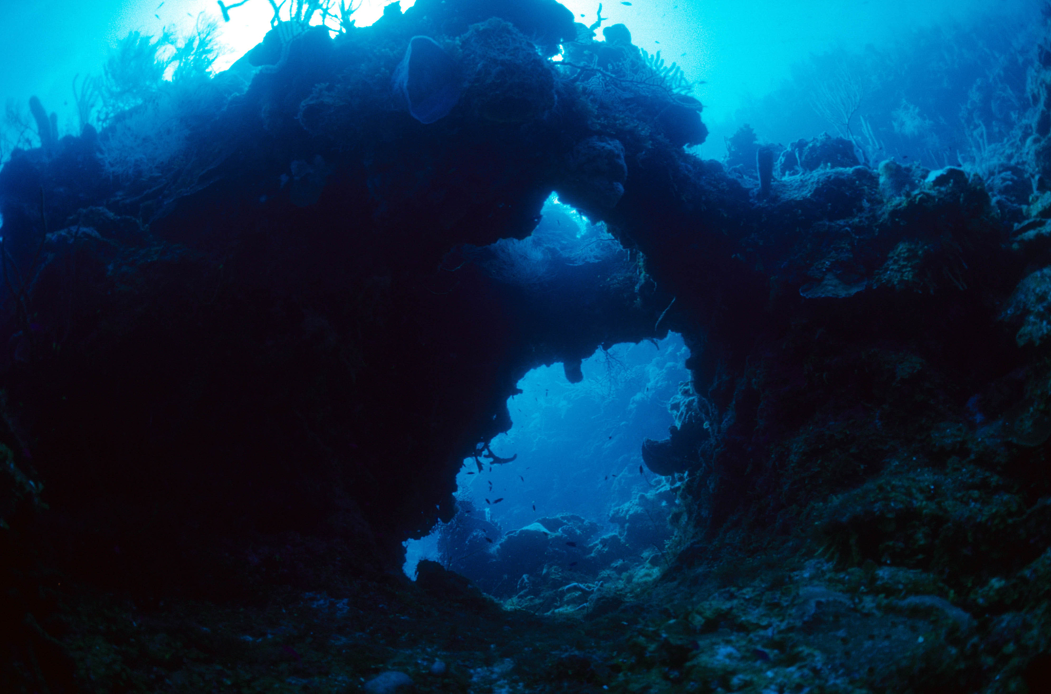 the beauty of the cayman islands