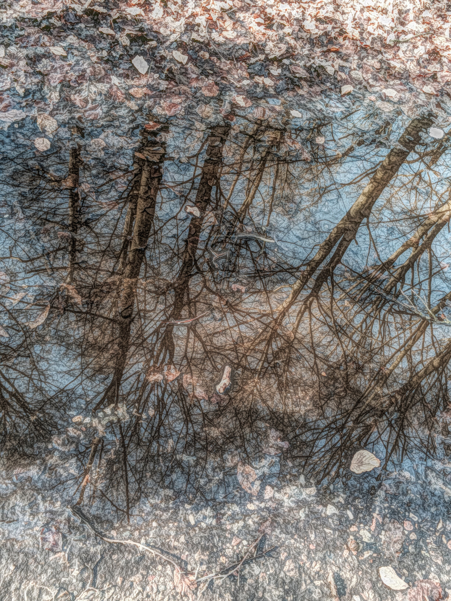 顾凯之艺术探索：形式、材料、主题与概念