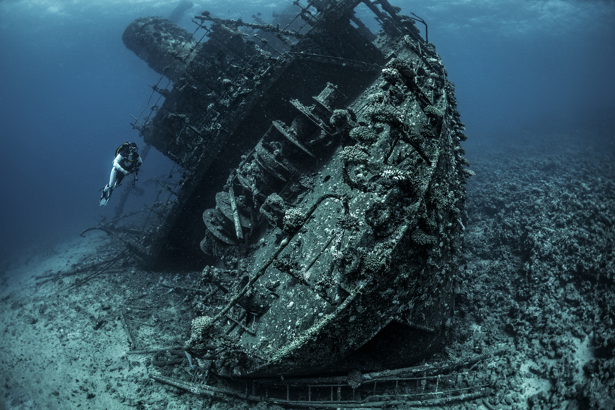 scuba diver exploring a shipwreck underwater in the red sea