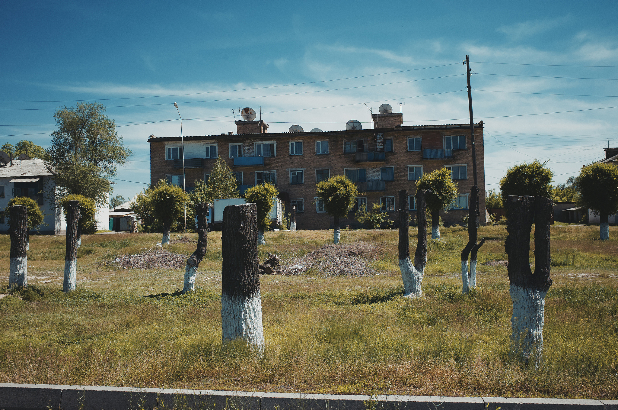 请一一个老师受到其他老师的校园暴力为引写一个法国诗意现实主义的故事