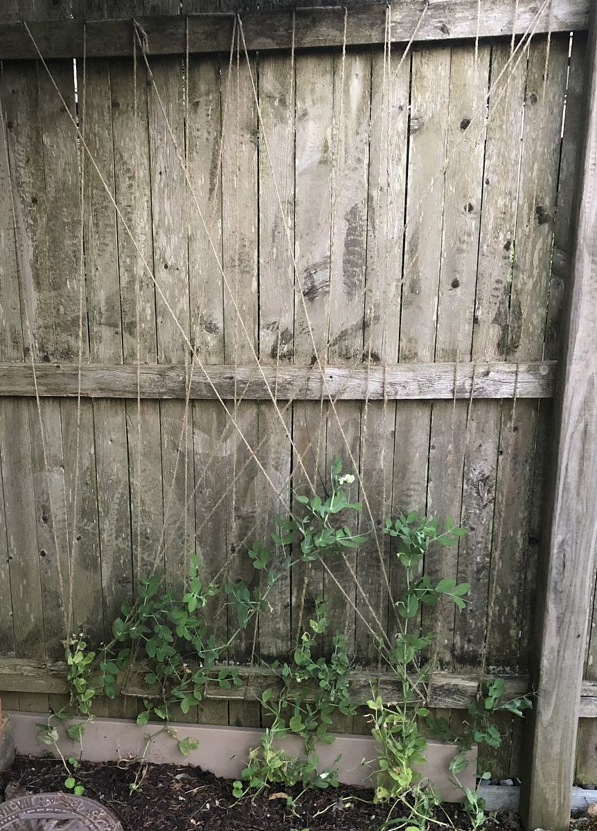 成都农科院-都市园艺专业招生