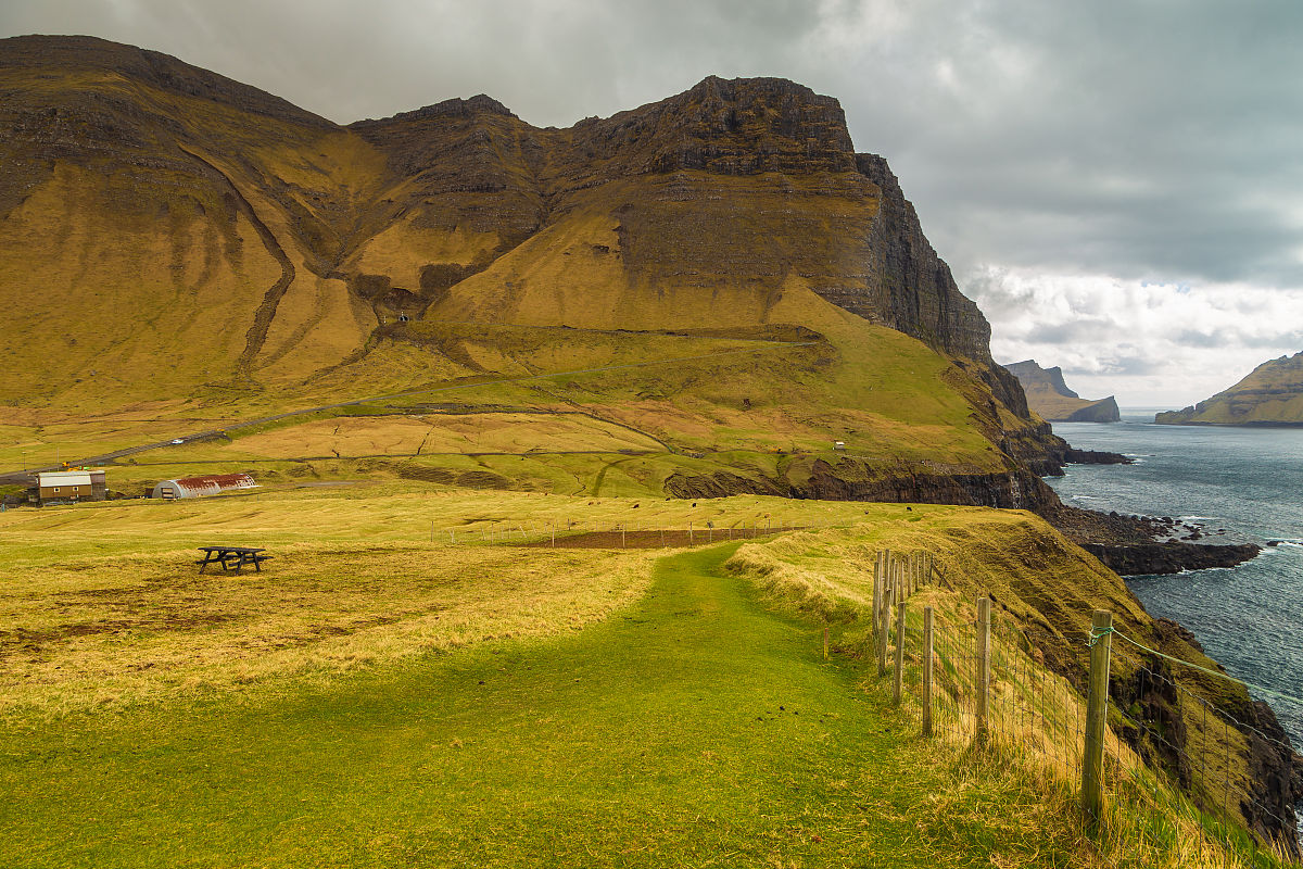 中南财经自考专升本法学专业考什么