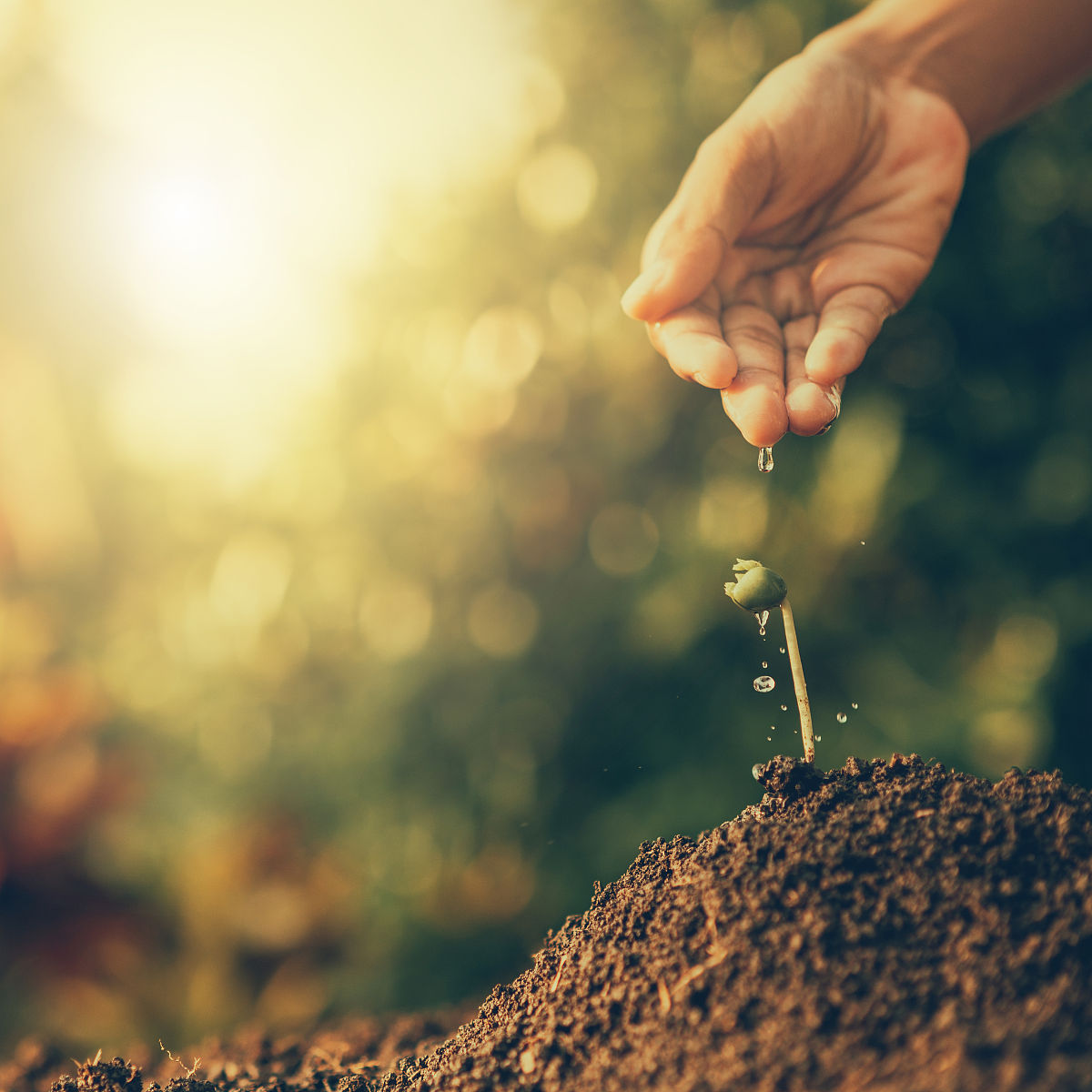 生命永恒就等于幸福吗？从时间价值到生命意义的多维度思考