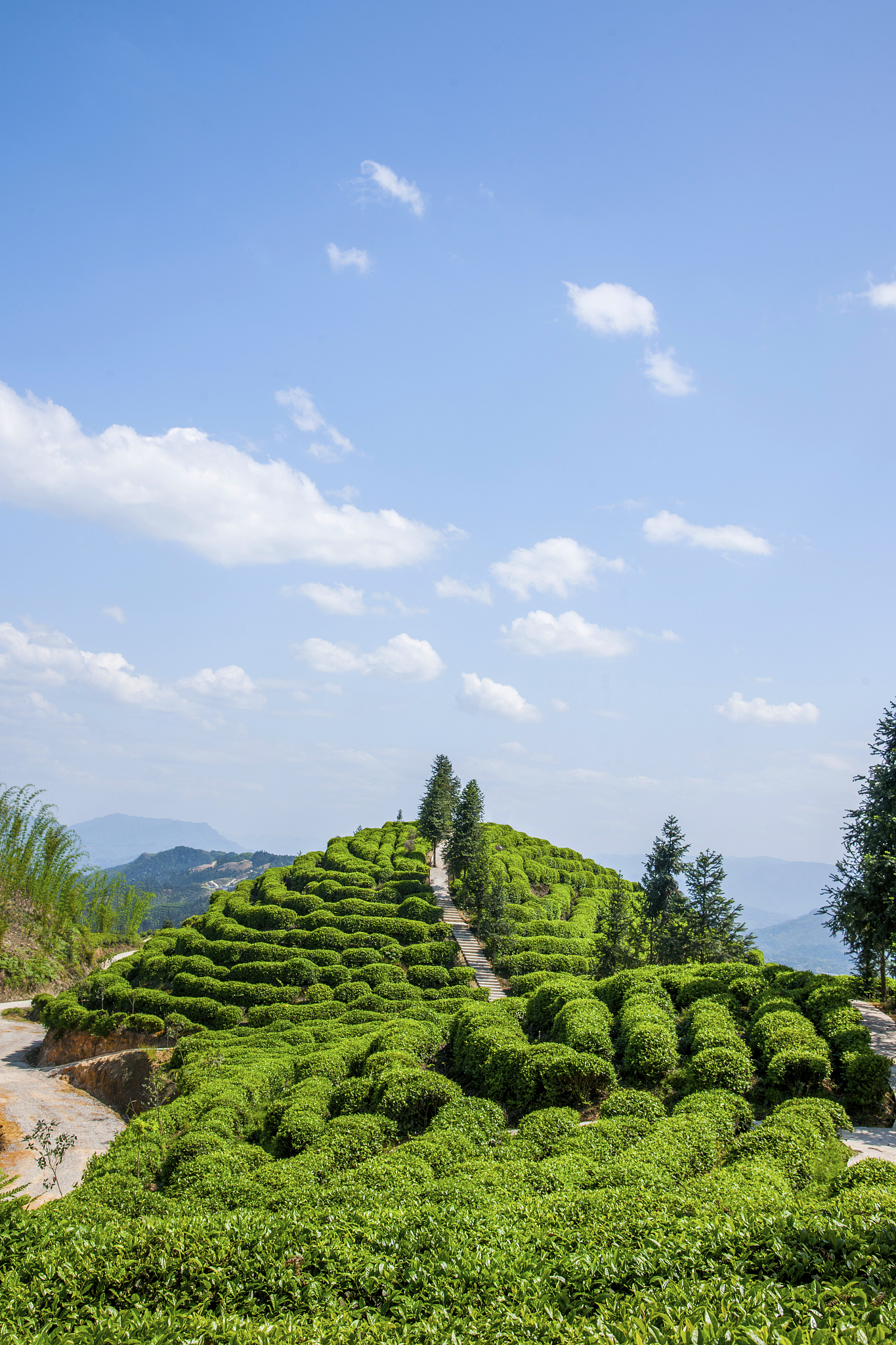 重庆巴南职业教育中心2022年招生简章