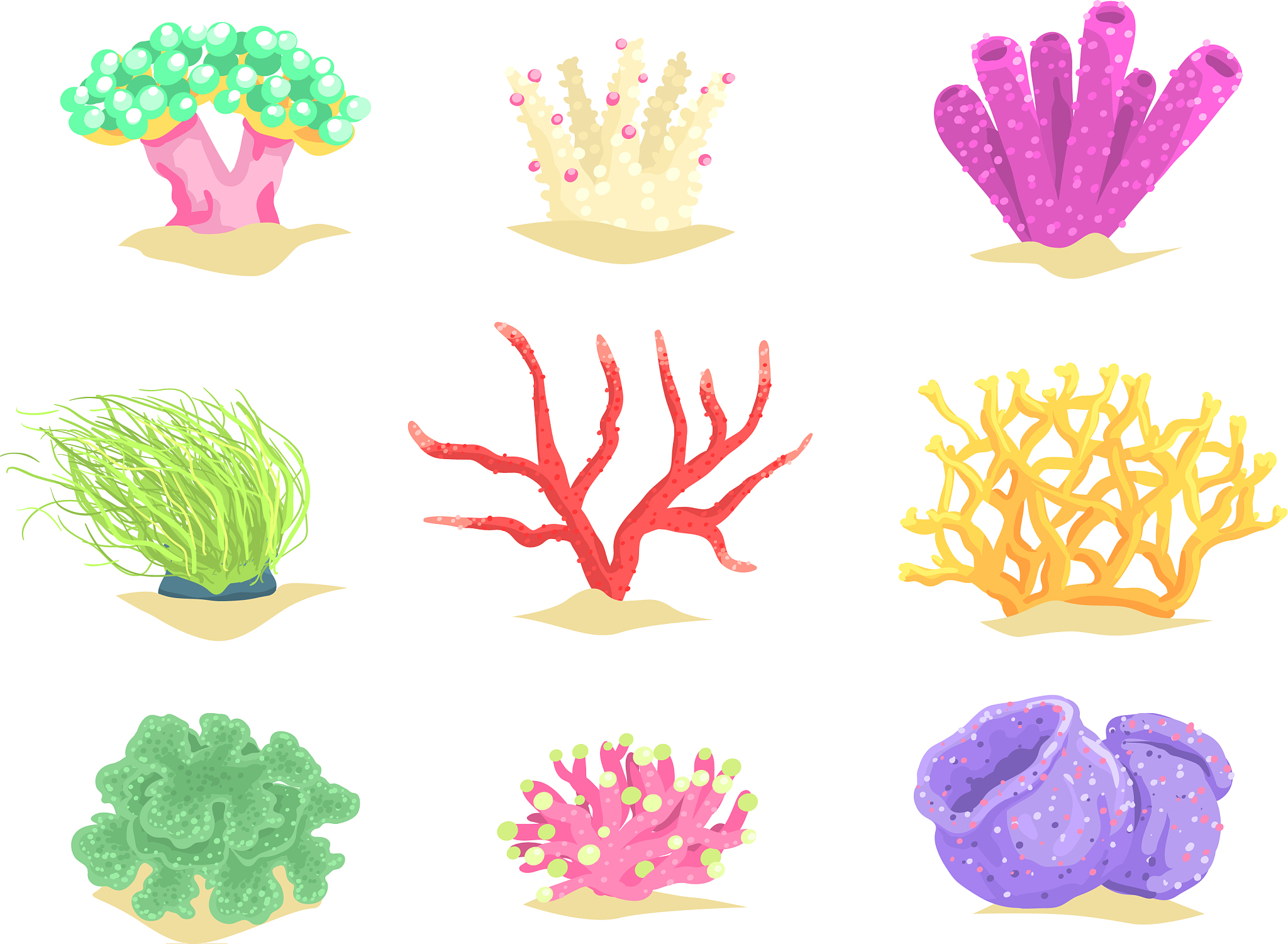 underwater plants set seaweeds and aquatic marine