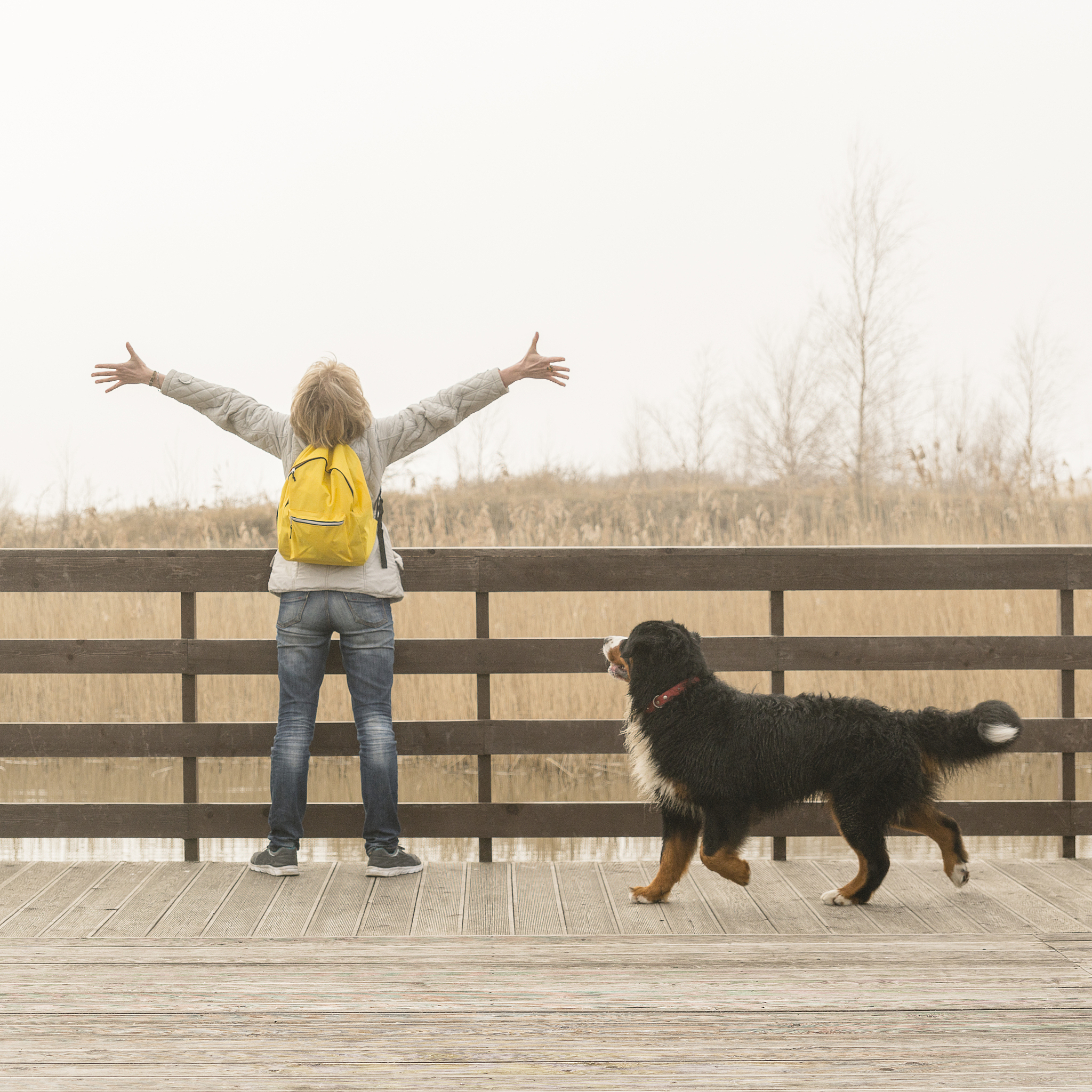 1200字关于可爱的宠物是如何陪伴主人的