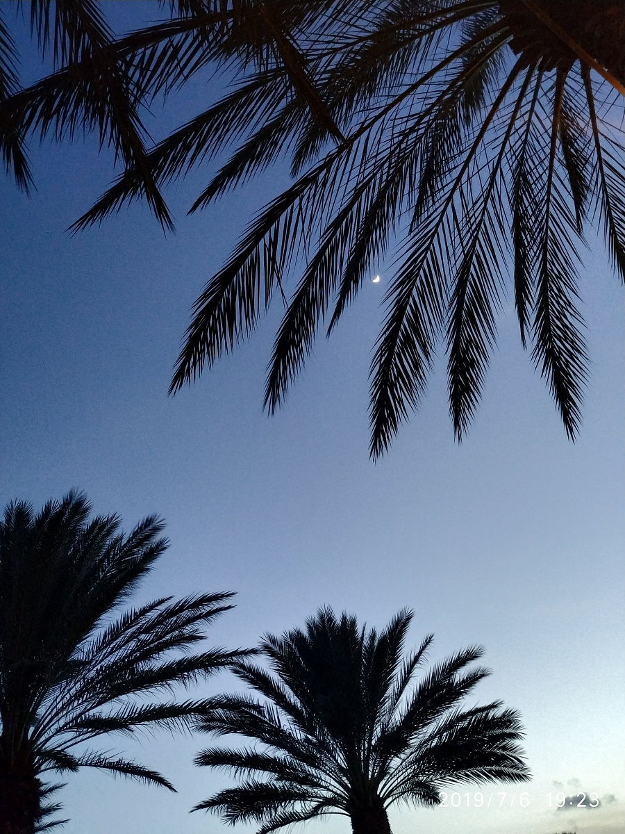 仿写：夕阳西下与月光下的都市