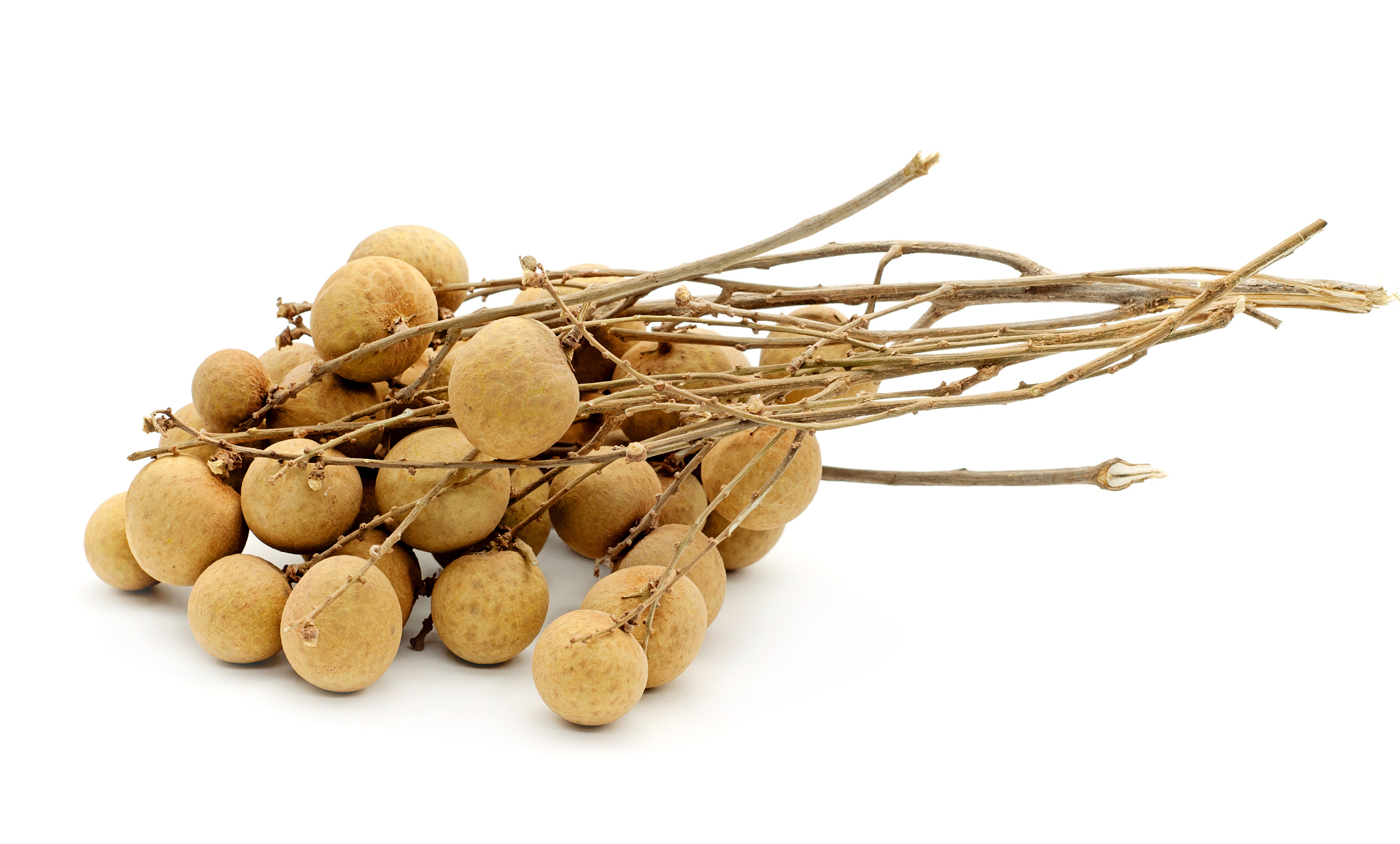 广东新兴中药学校2022年热门专业有哪些？就业前景如何？