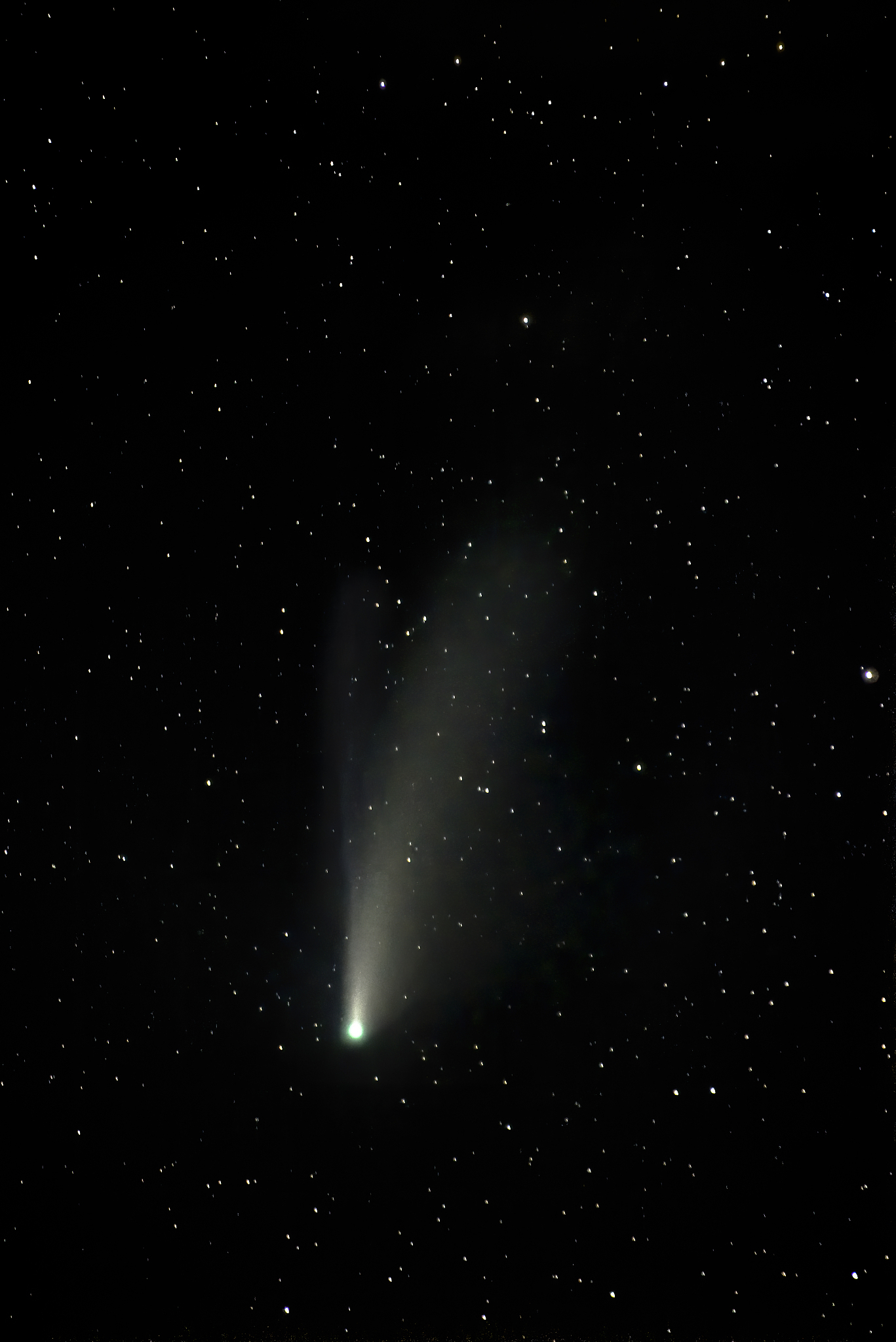 comet neowise