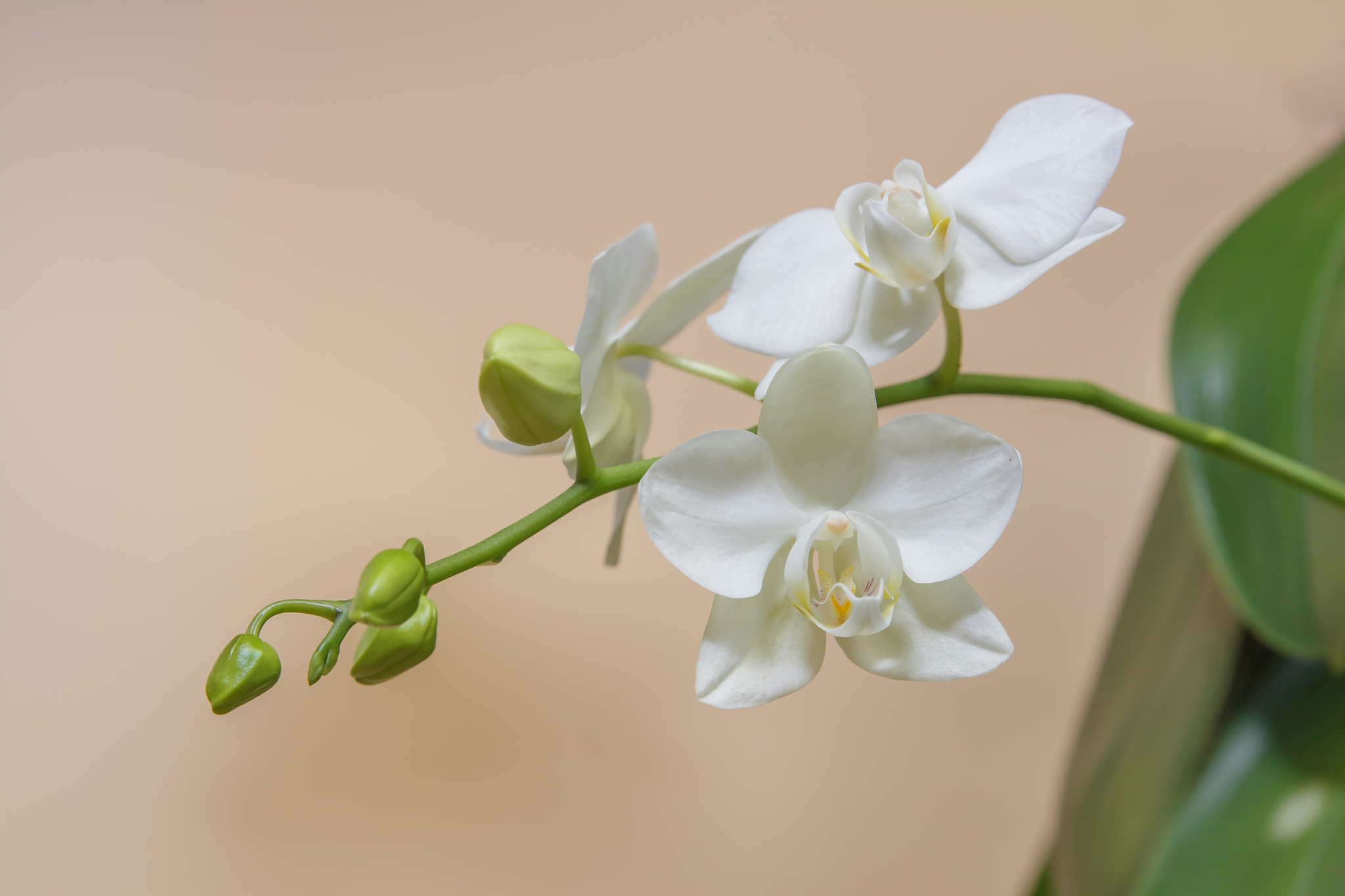 贵州2023年读什么轨道交通学校-怎么样