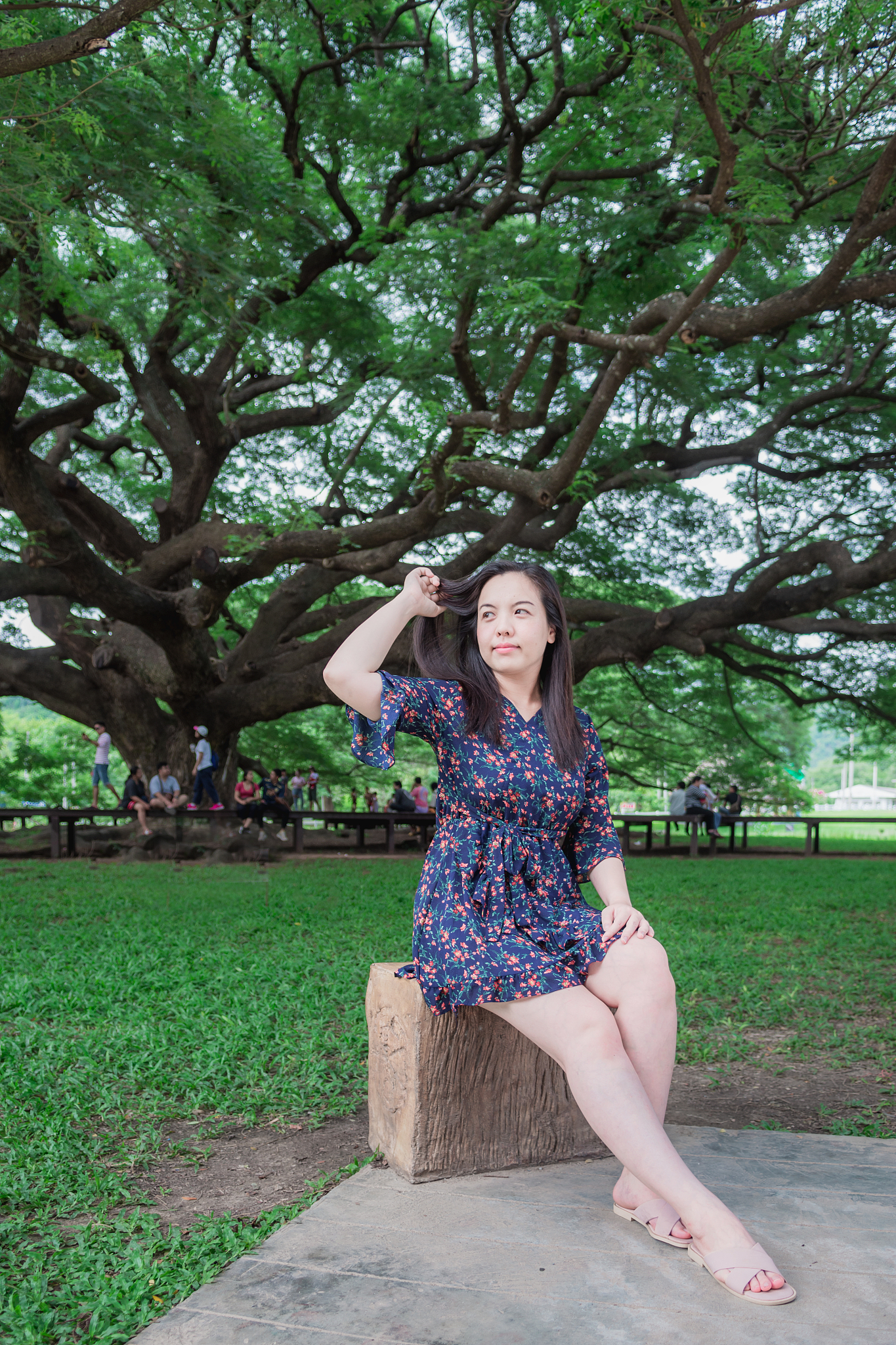 woman looking away while sitting in park