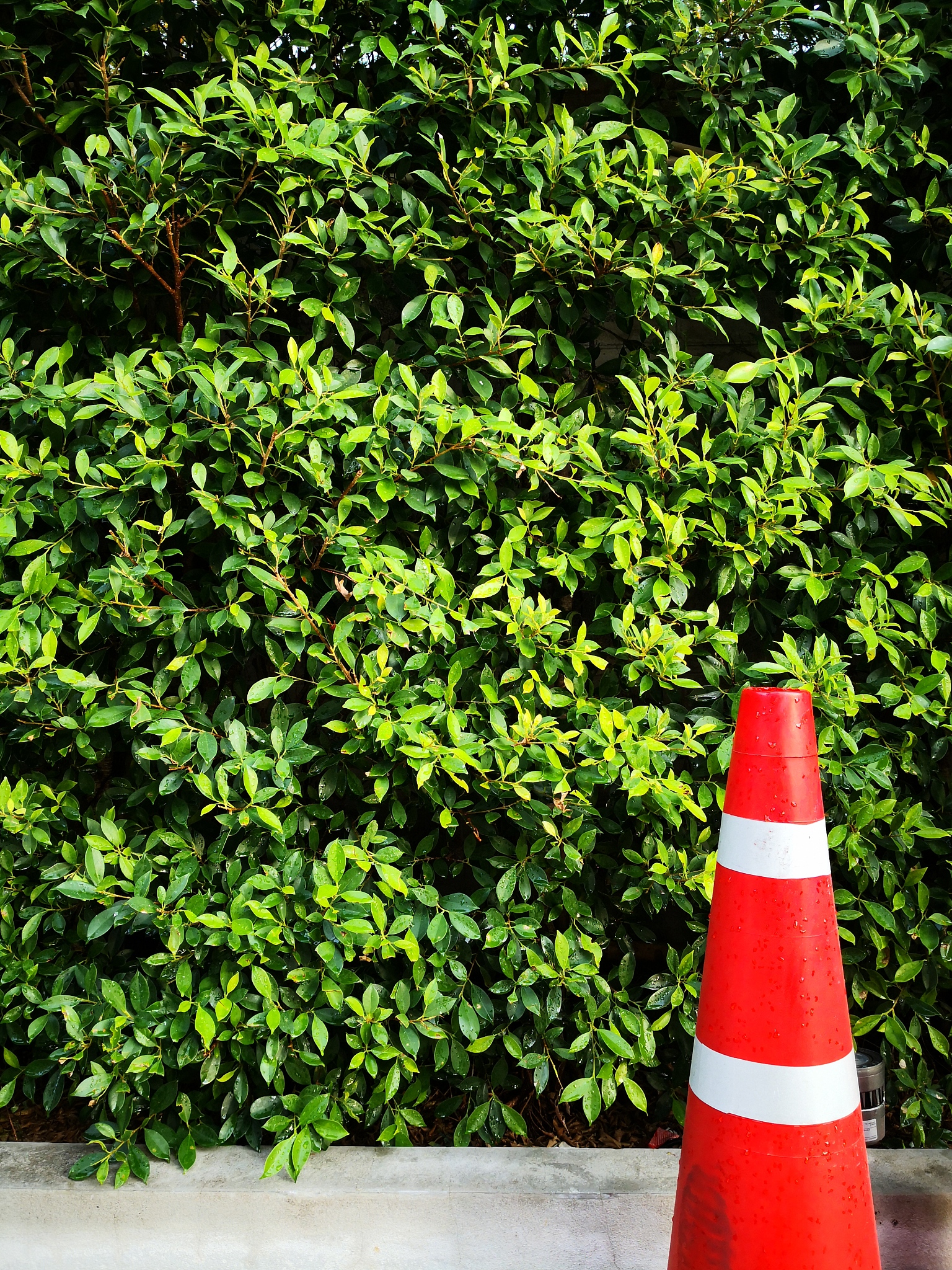 天水职业中等专业道路桥梁工程技术专业前景怎么样？就业方向有哪些？