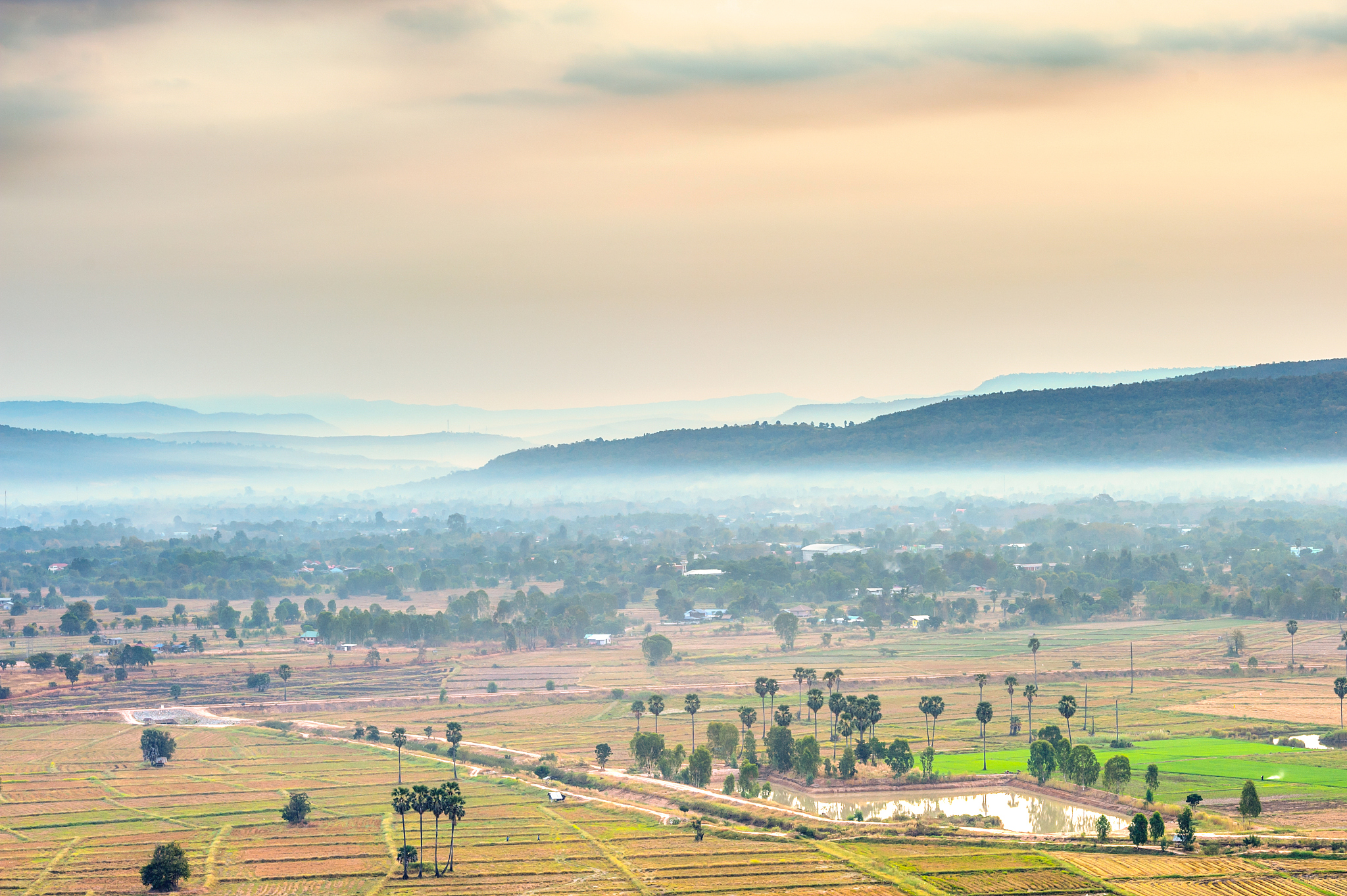 Yuan Longping: The Father of Hybrid Rice and Food Security Hero