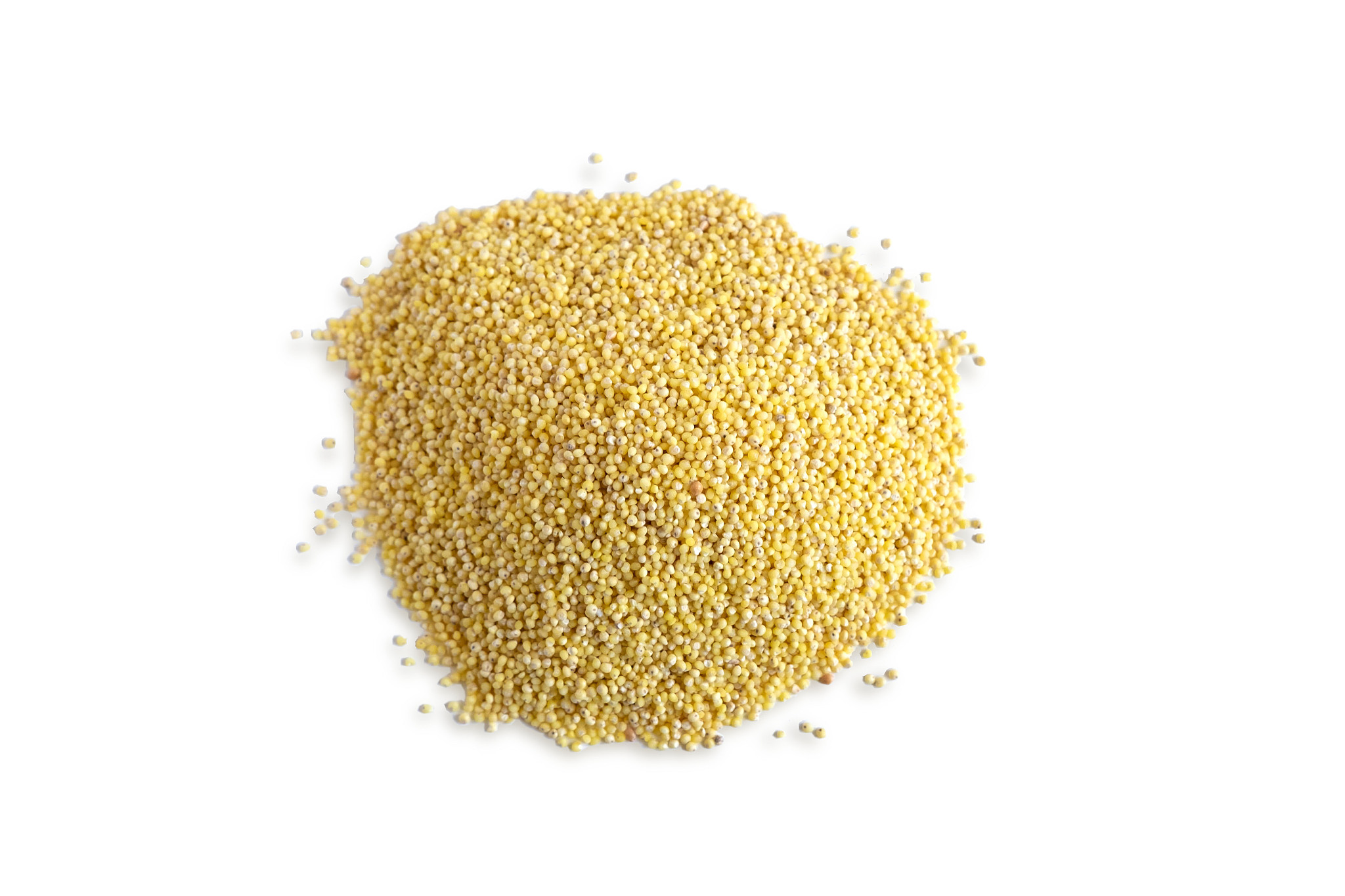 dry millet isolated on white background. photo heaps of millet c