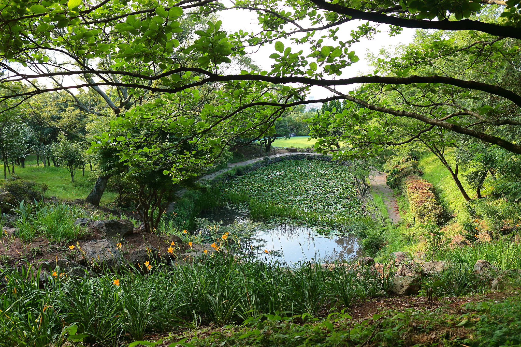 la arboretum, parks, forests, forest,