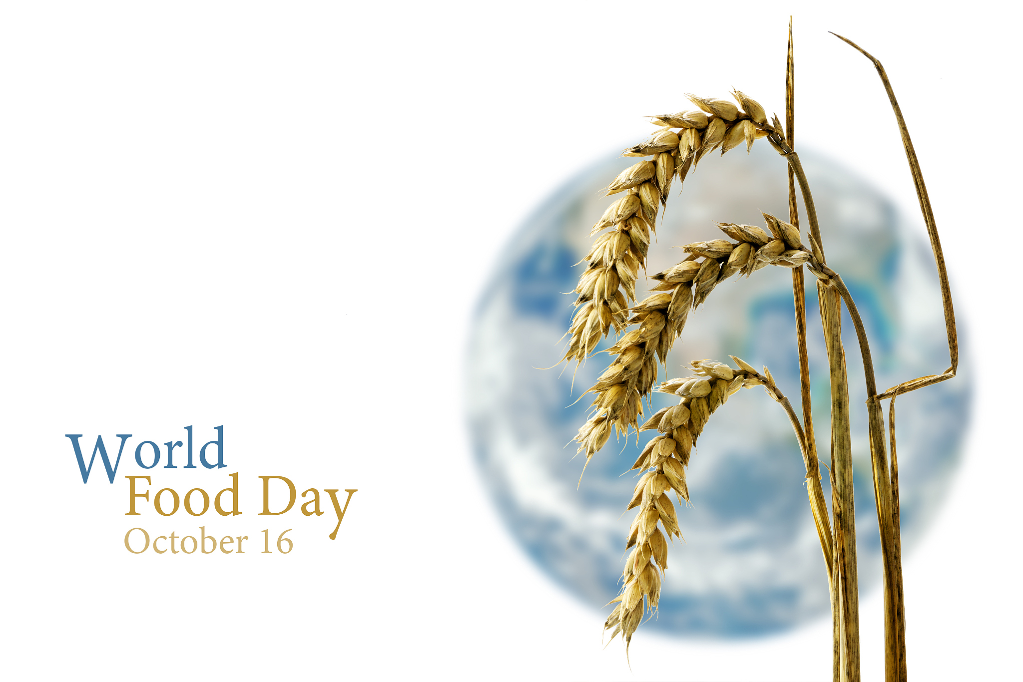 world food day, rye against a blurred world globe