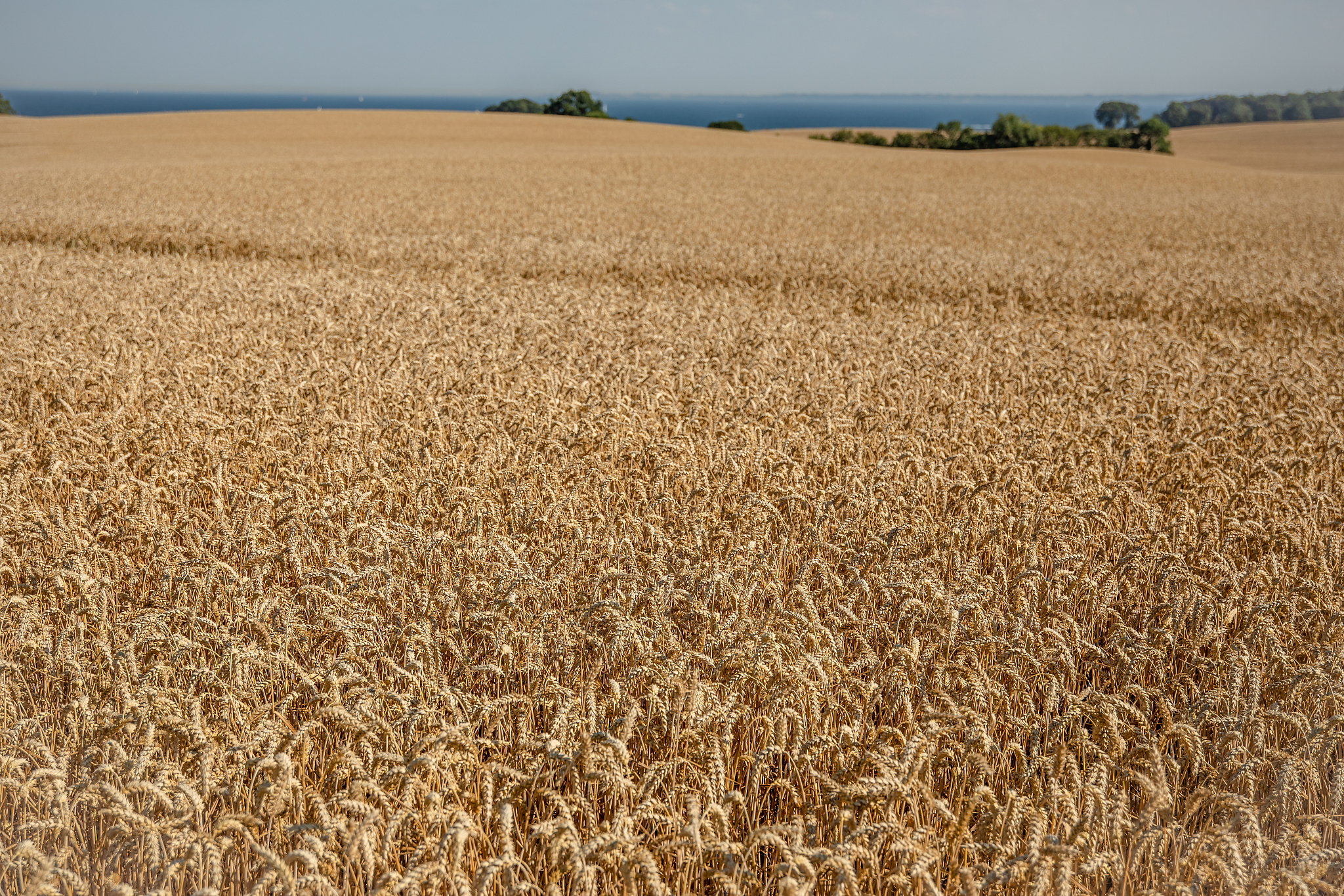 广西百色农业学校2023年有哪些招生专业