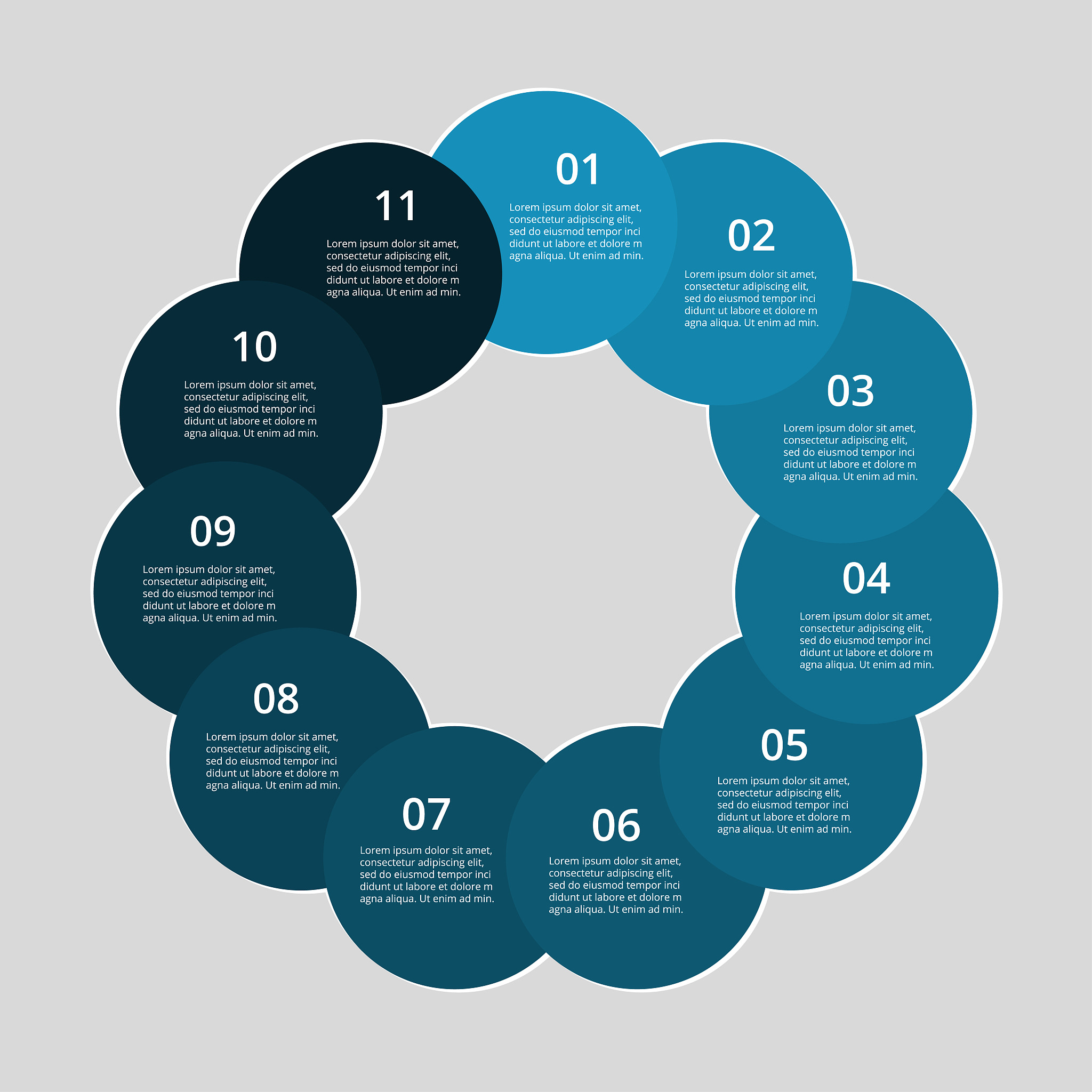 step by step infographic.