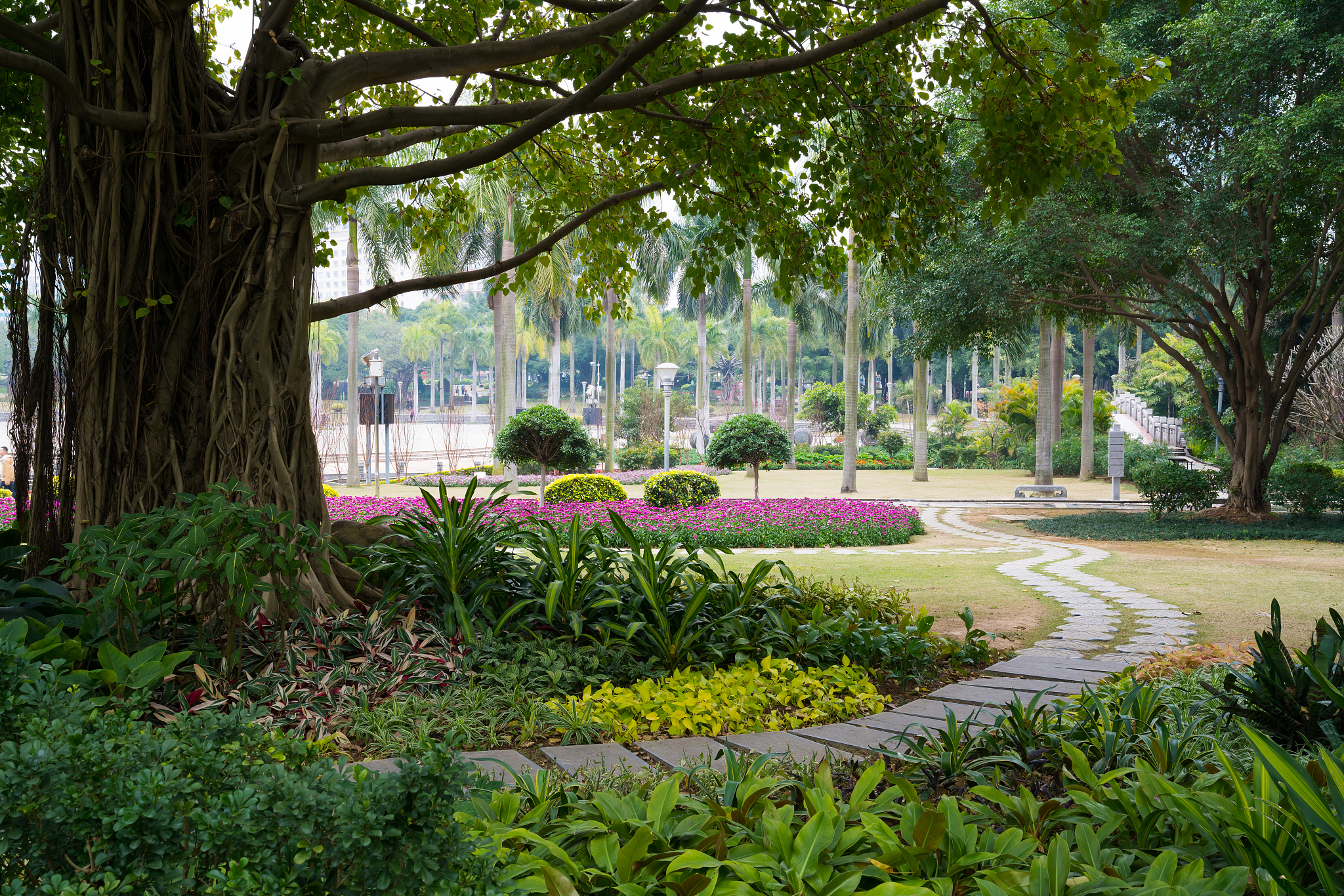 厦门风景园林专业：就业前景与未来发展