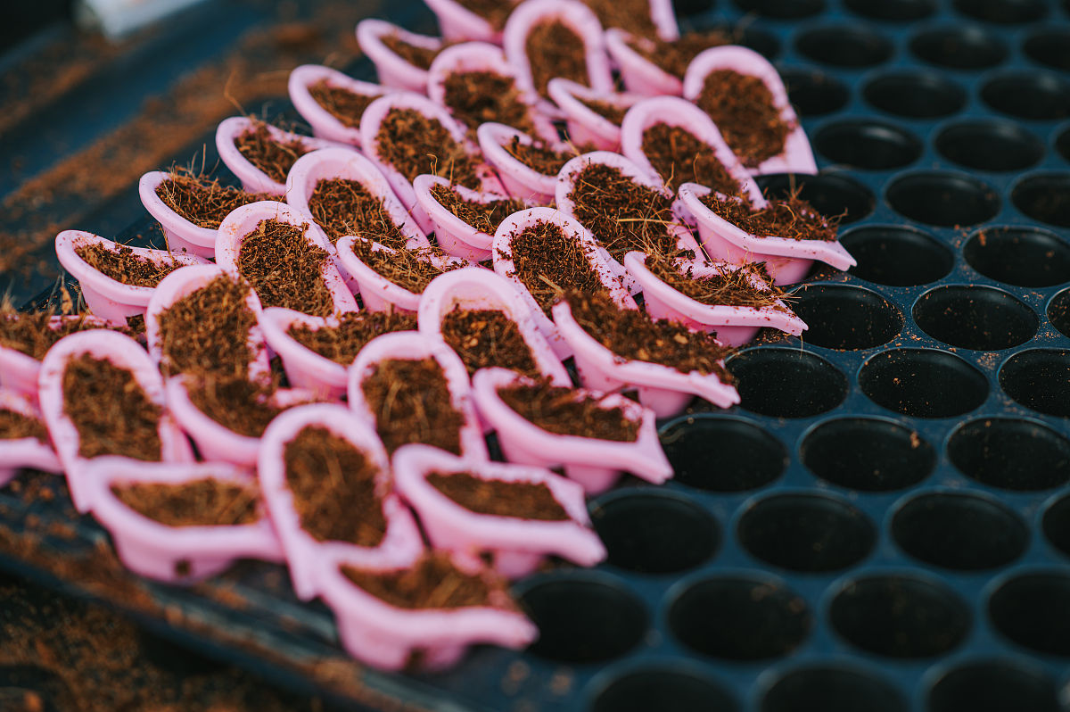 土壤与大气圈的关系