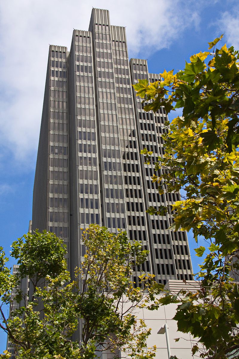 盐源县职业技术中学校园林技术专业就业方向有哪些