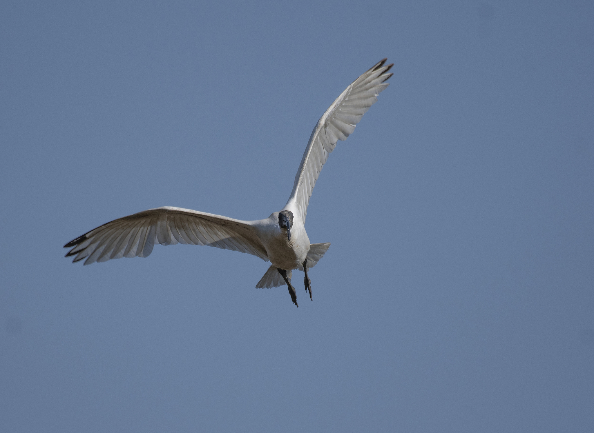 生态学研究：研究河流的生态系统包括河流生物多样性、食物链、能量流动、生态过程和生态环境等以及河流生态系统的保护和恢复等