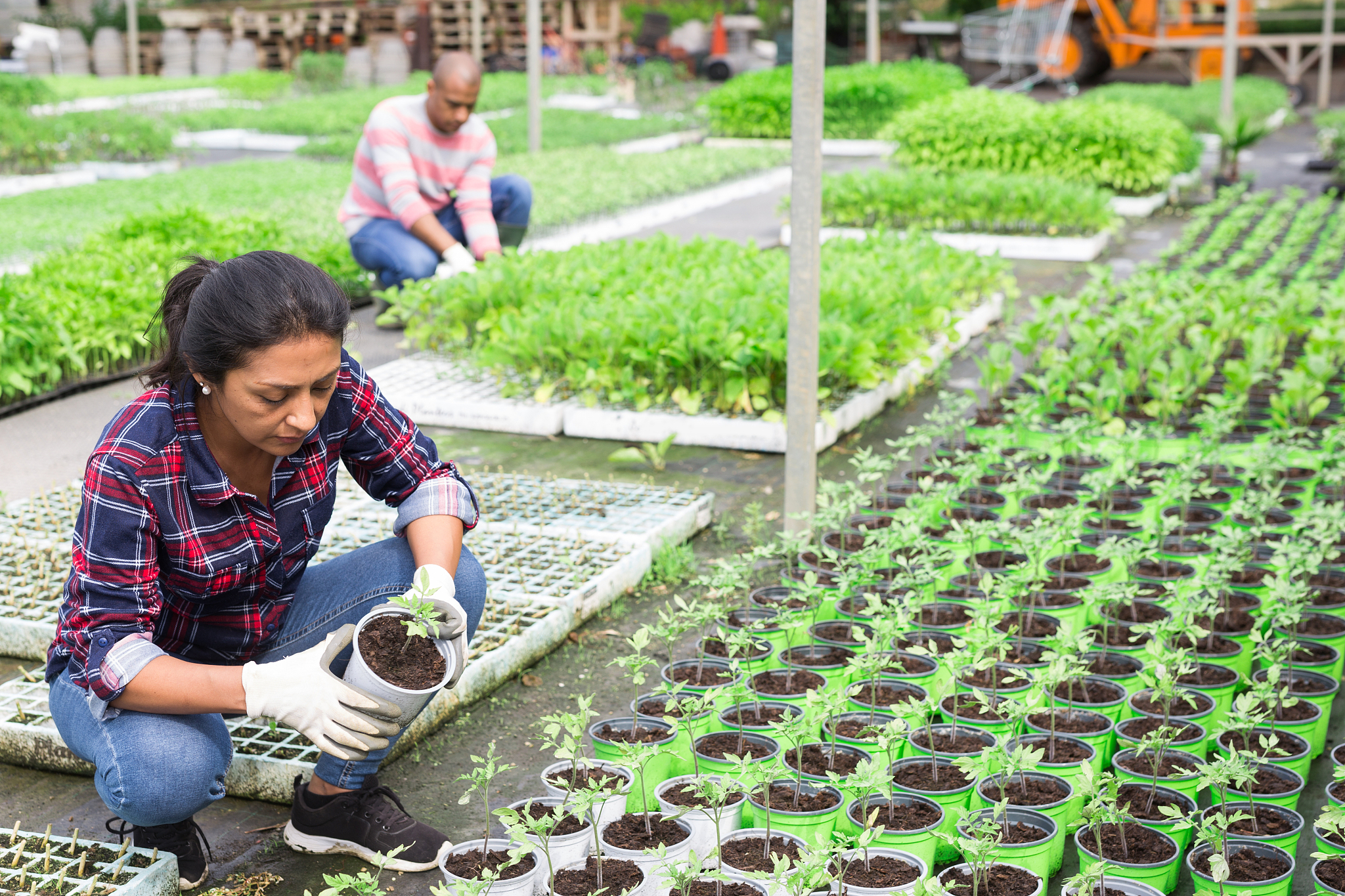 园艺技术专业培养目标