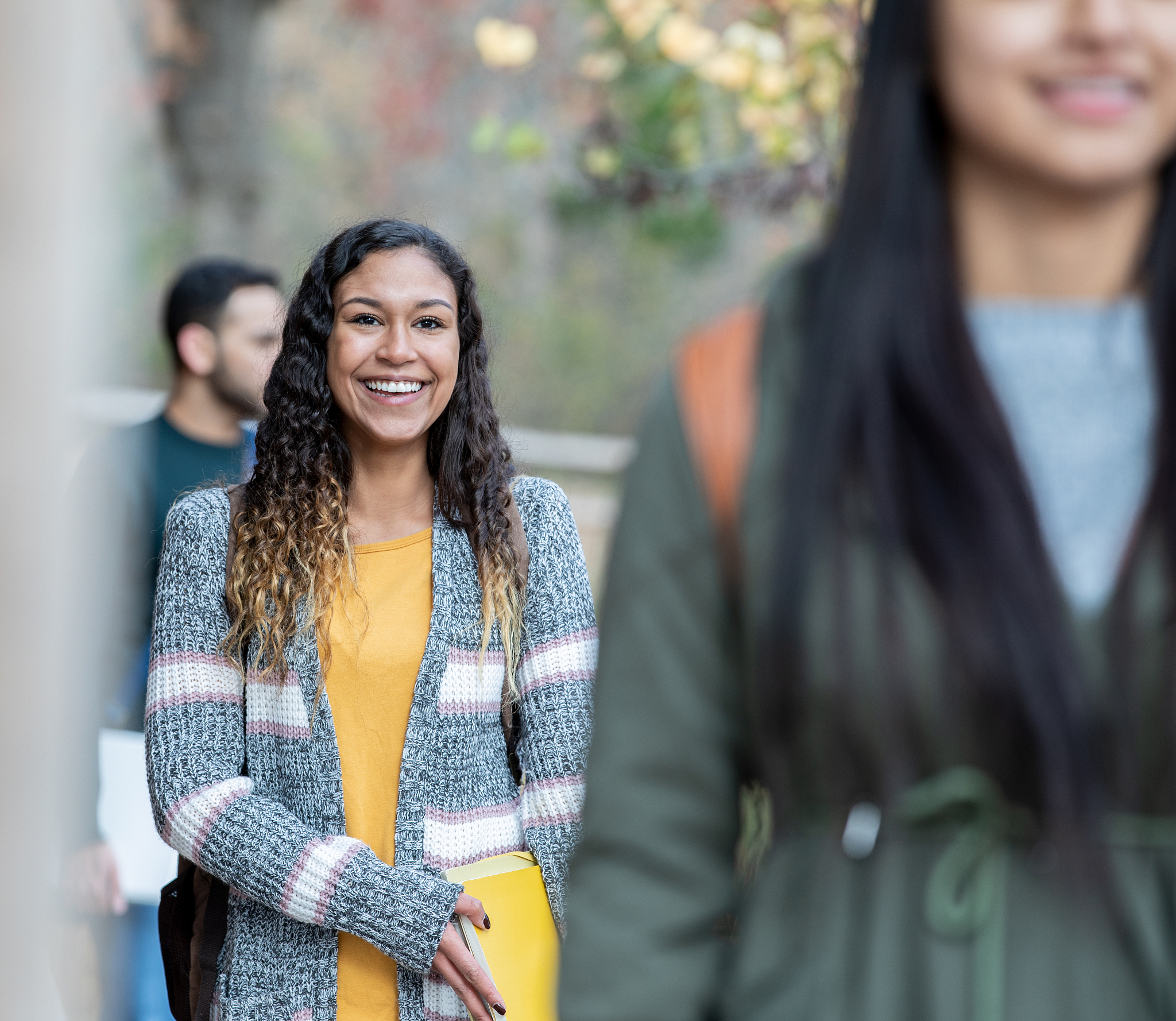 新加坡主要民族：华人占比超七成