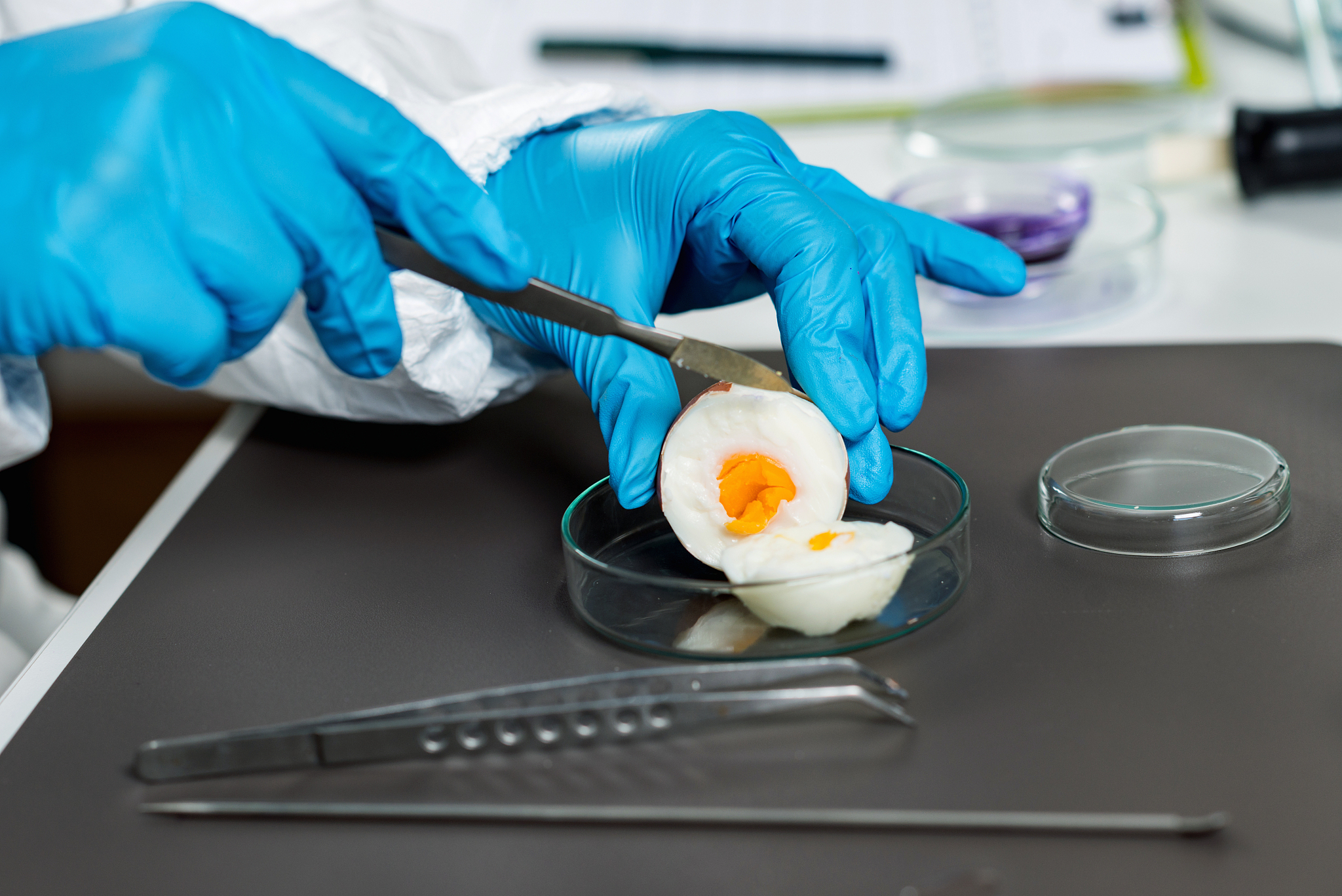 内蒙古农业大学食品生物技术专业怎么样？就业方向及优势分析