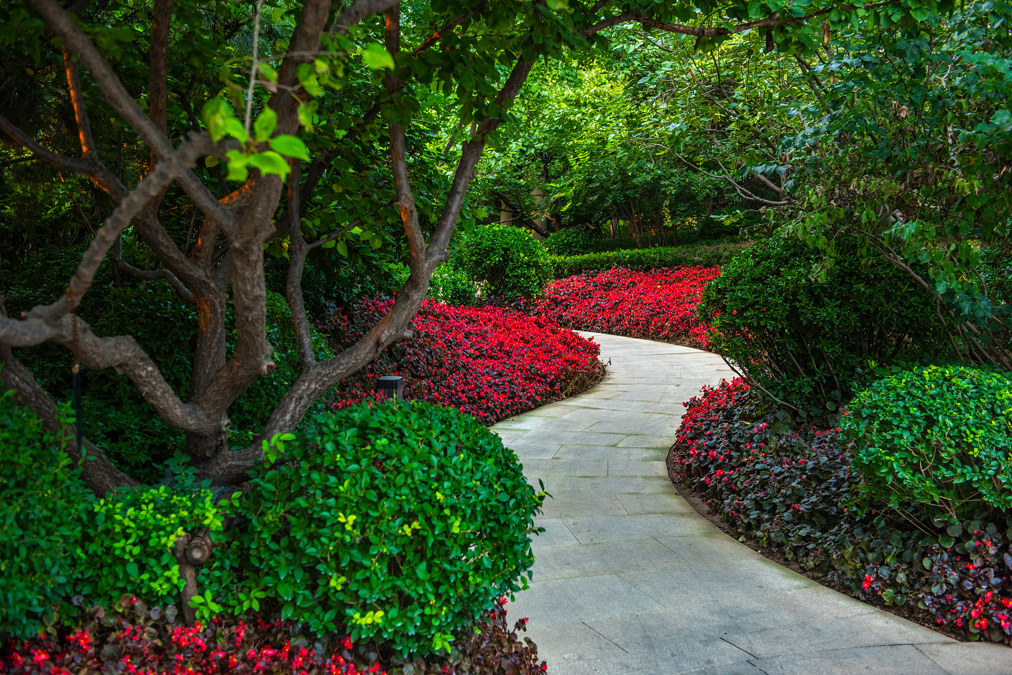 园林绿化专业详解及就业方向用